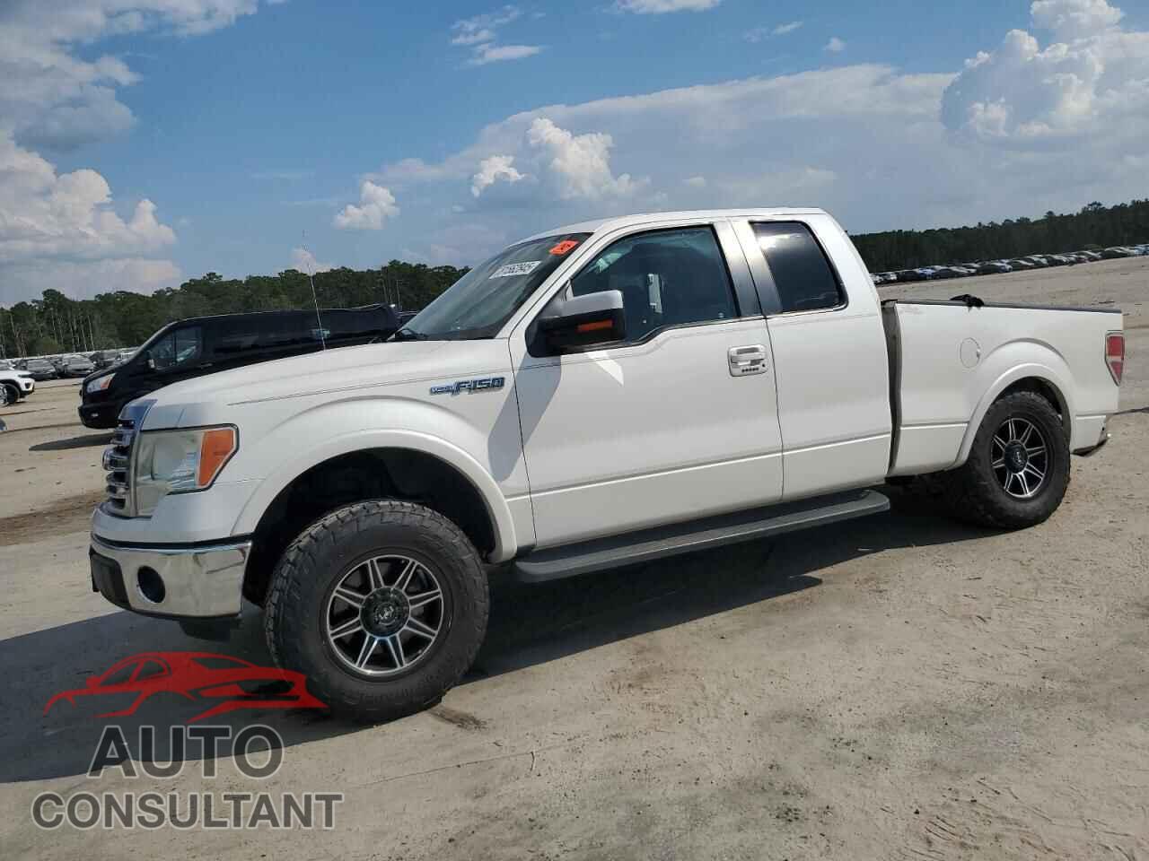 FORD F-150 2013 - 1FTFX1CF8DFB77250
