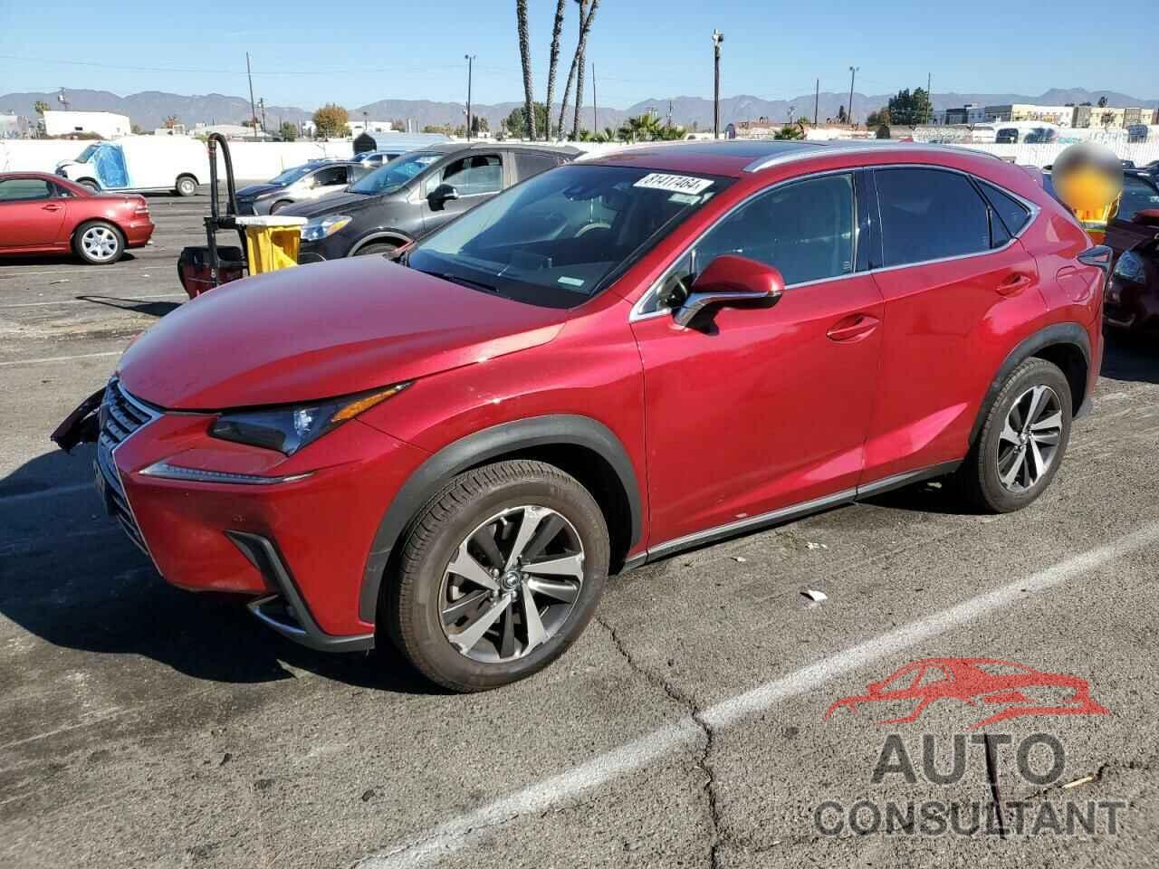 LEXUS NX 2019 - JTJYARBZ0K2131644