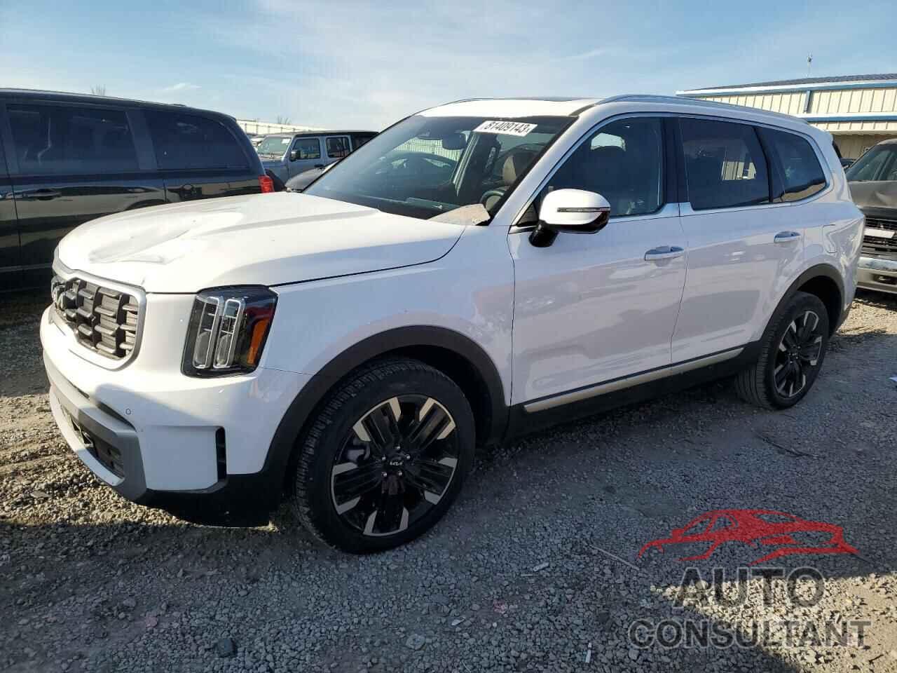 KIA TELLURIDE 2024 - 5XYP54GC9RG422539