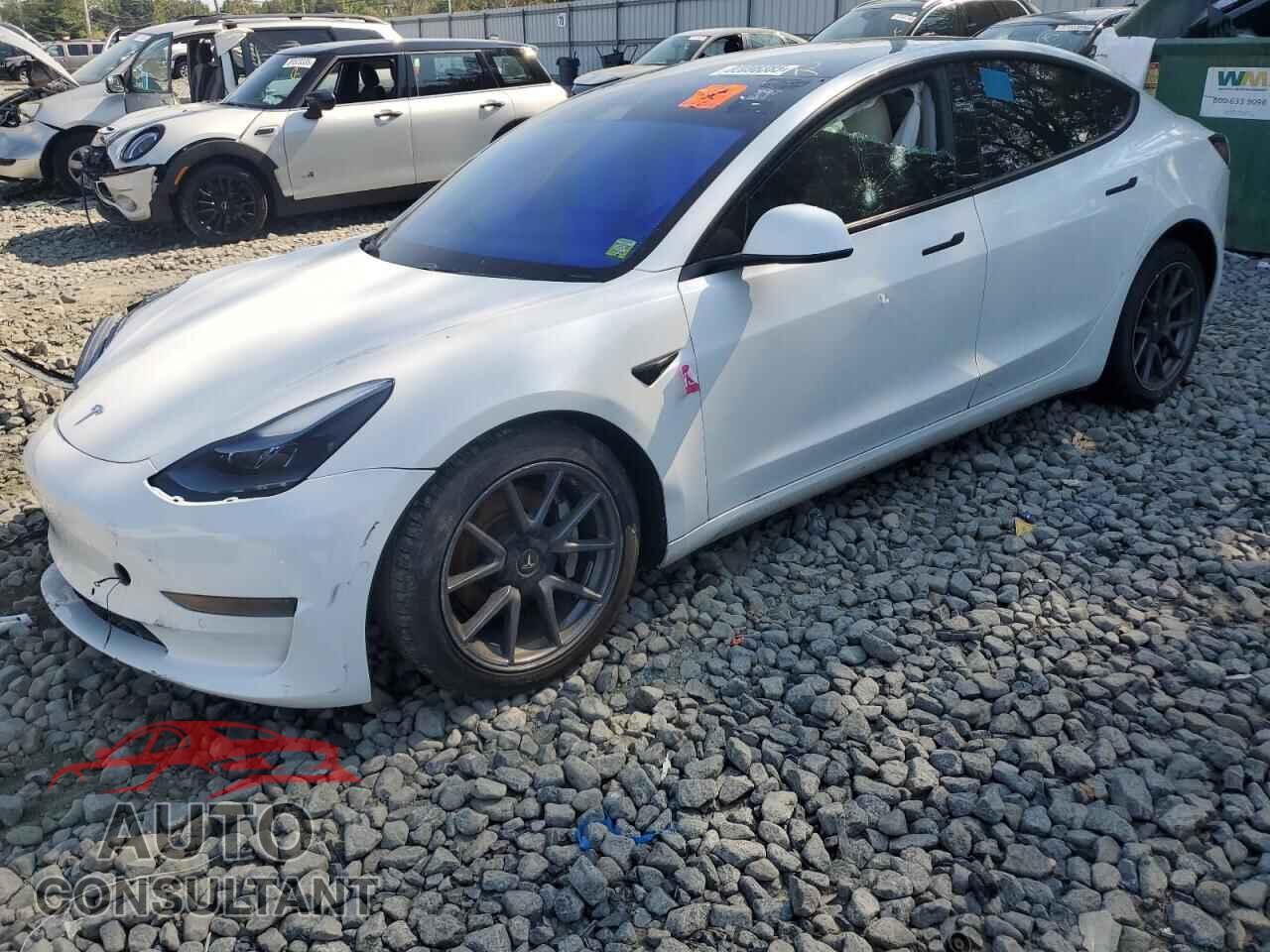 TESLA MODEL 3 2021 - 5YJ3E1EA2MF989870