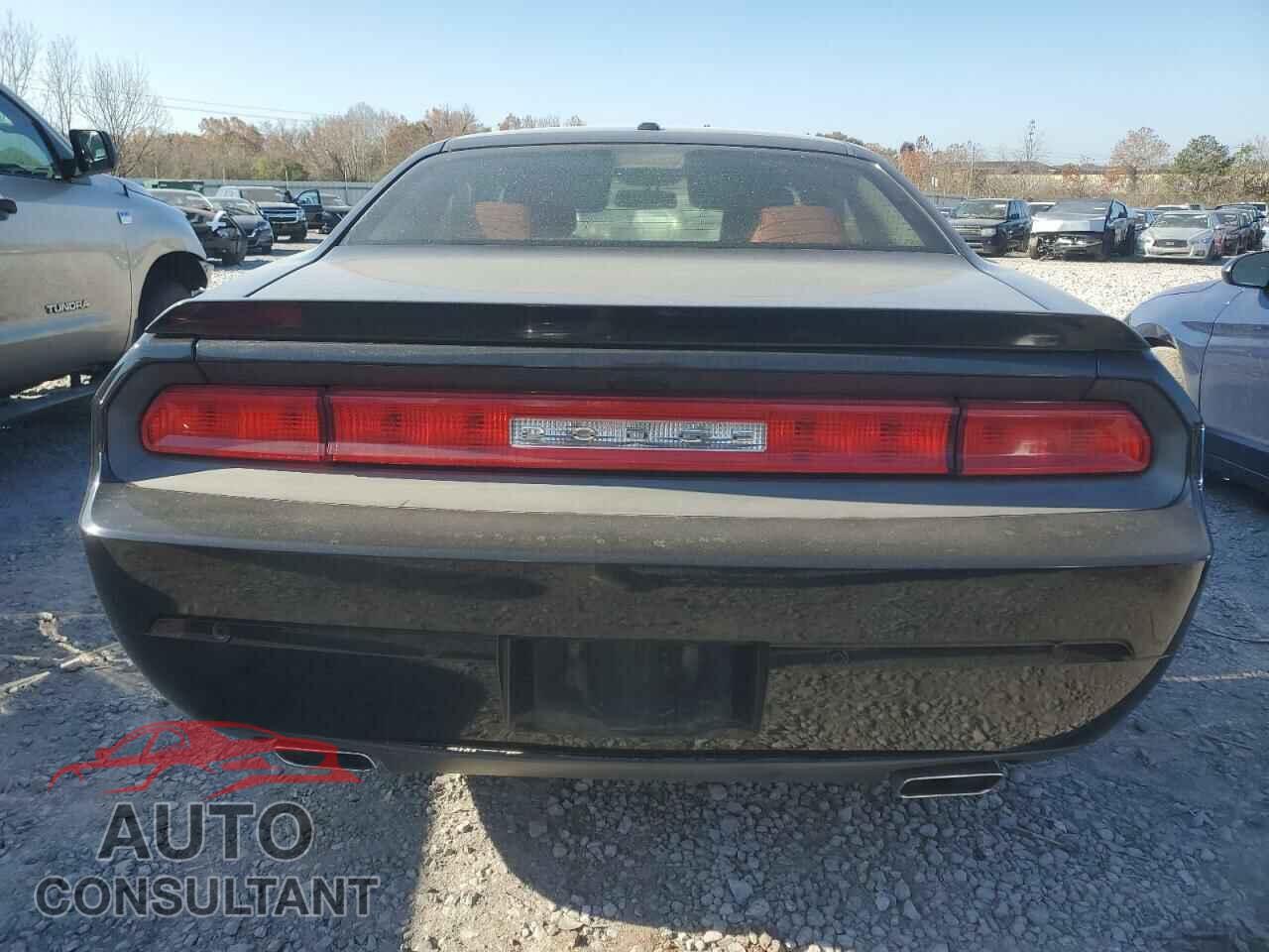 DODGE CHALLENGER 2013 - 2C3CDYAGXDH524922