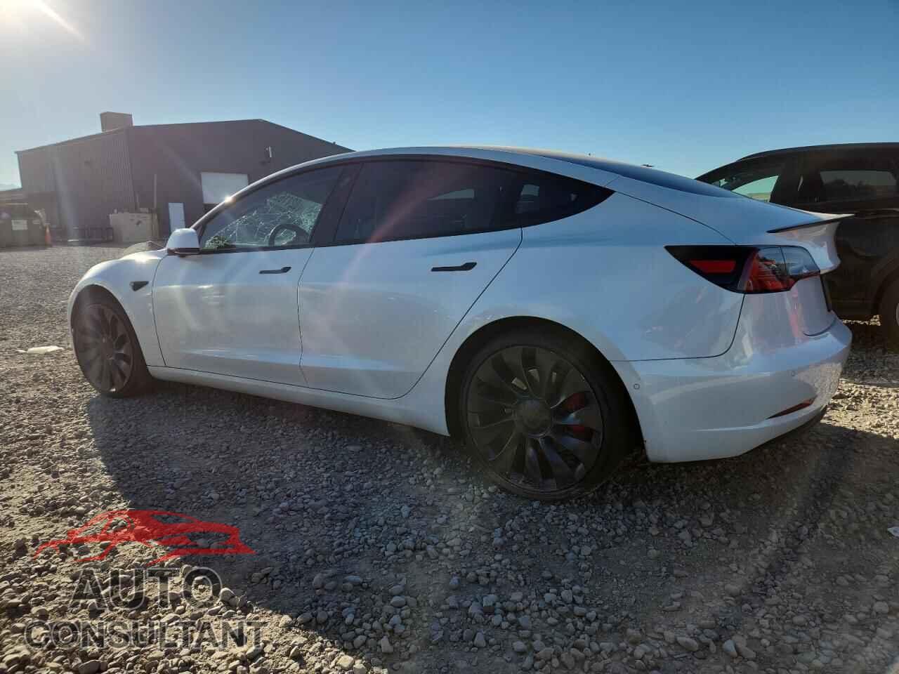 TESLA MODEL 3 2021 - 5YJ3E1EC8MF875311
