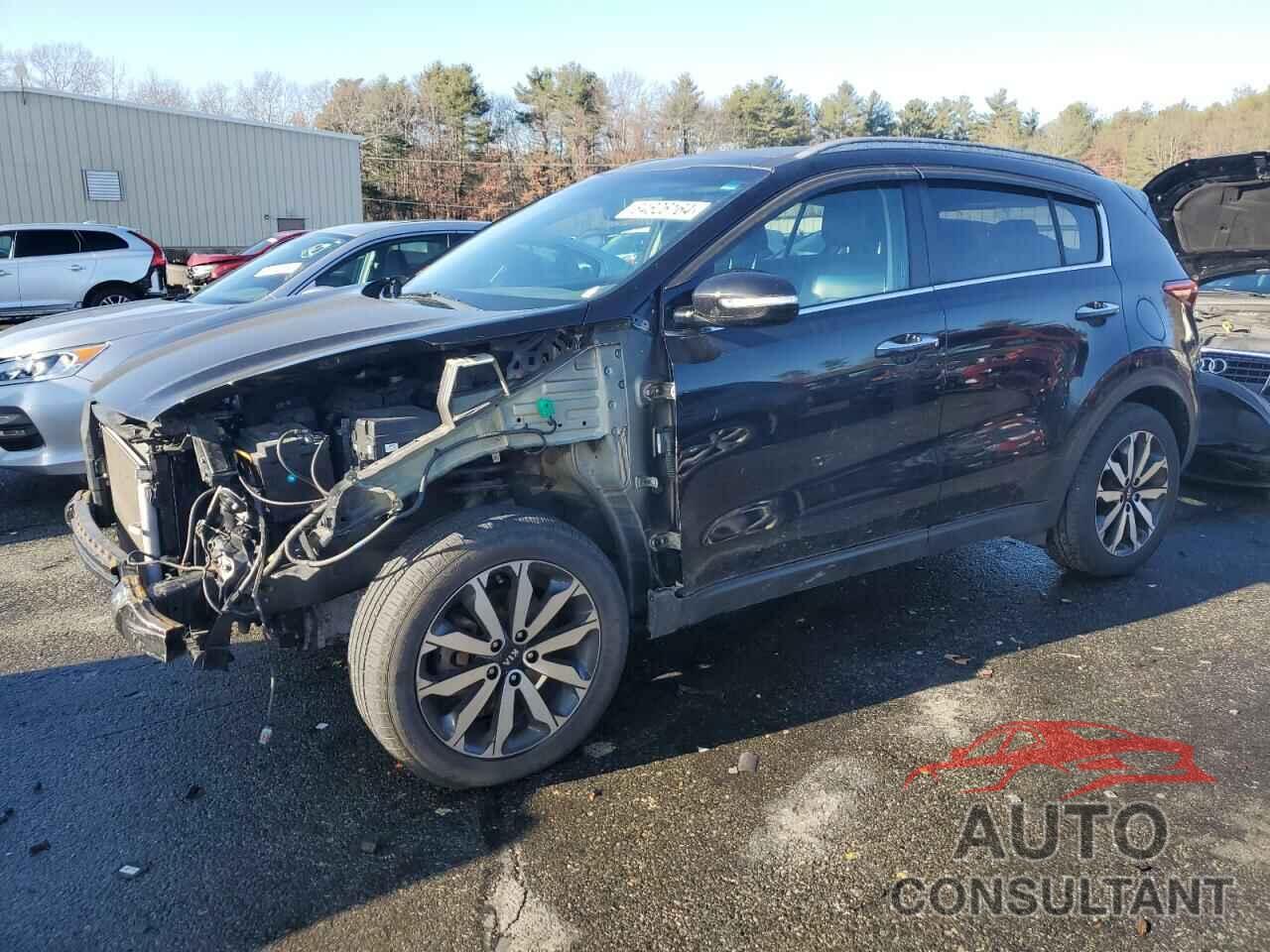 KIA SPORTAGE 2017 - KNDPNCAC3H7104544