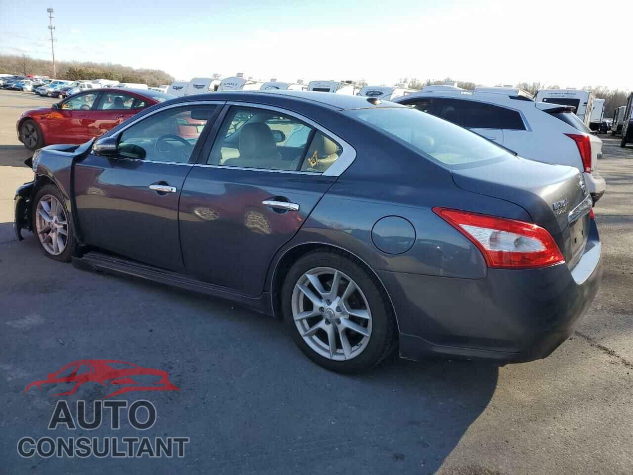 NISSAN MAXIMA 2009 - 1N4AA51E79C833191