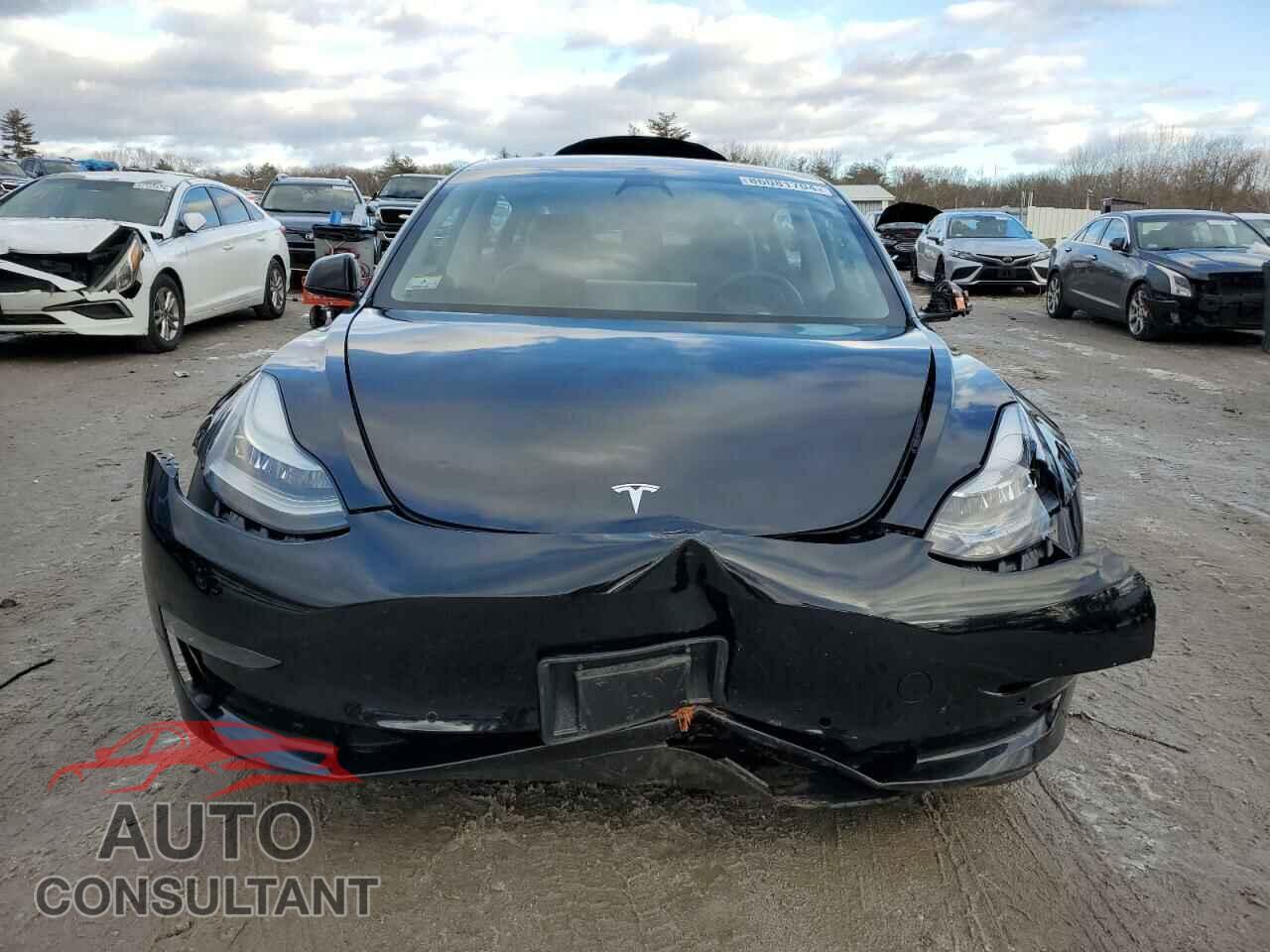 TESLA MODEL 3 2018 - 5YJ3E1EA2JF109102