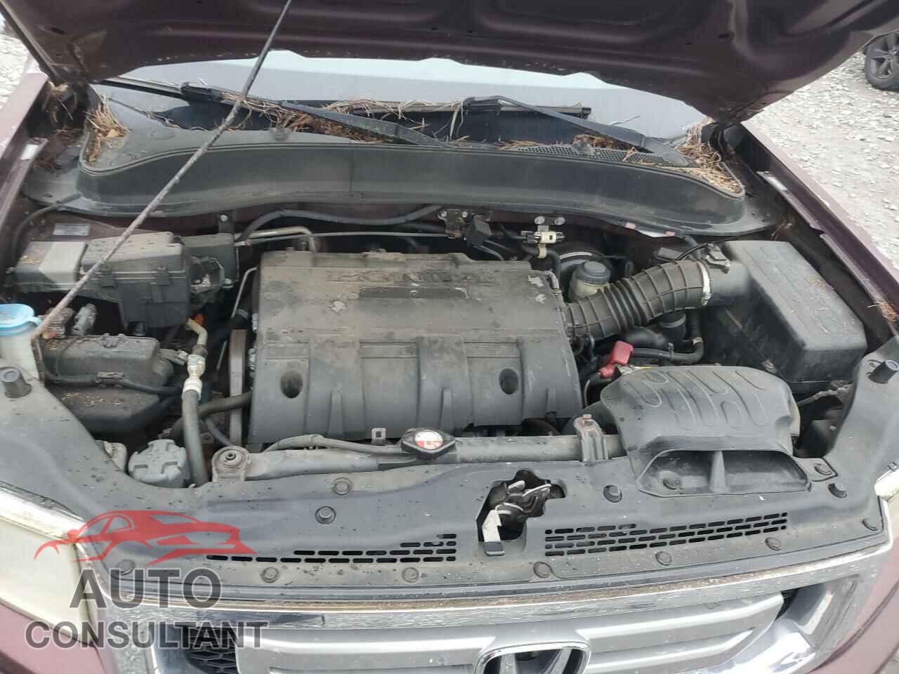HONDA RIDGELINE 2010 - 5FPYK1F59AB006671