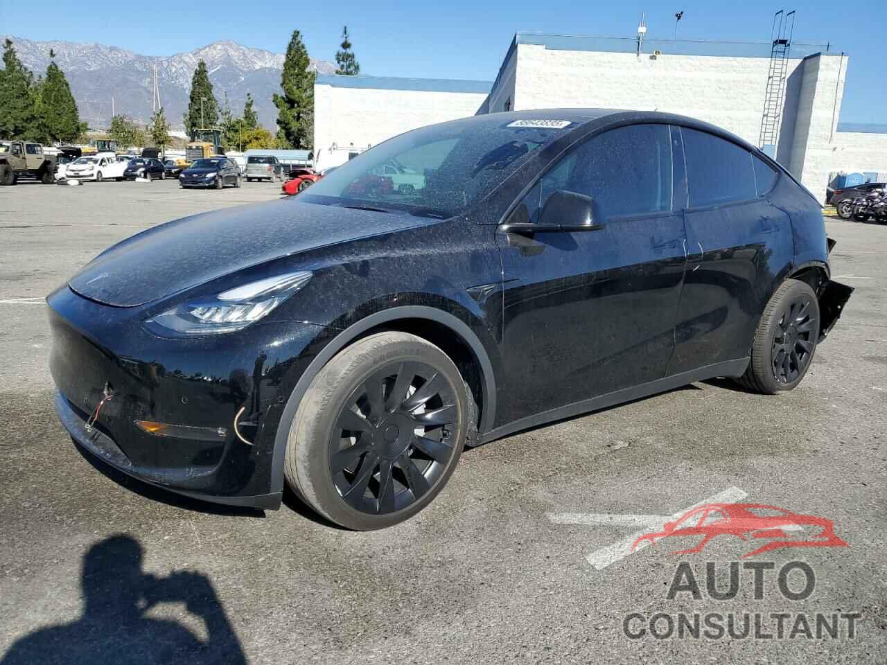 TESLA MODEL Y 2022 - 7SAYGAEE4NF350591