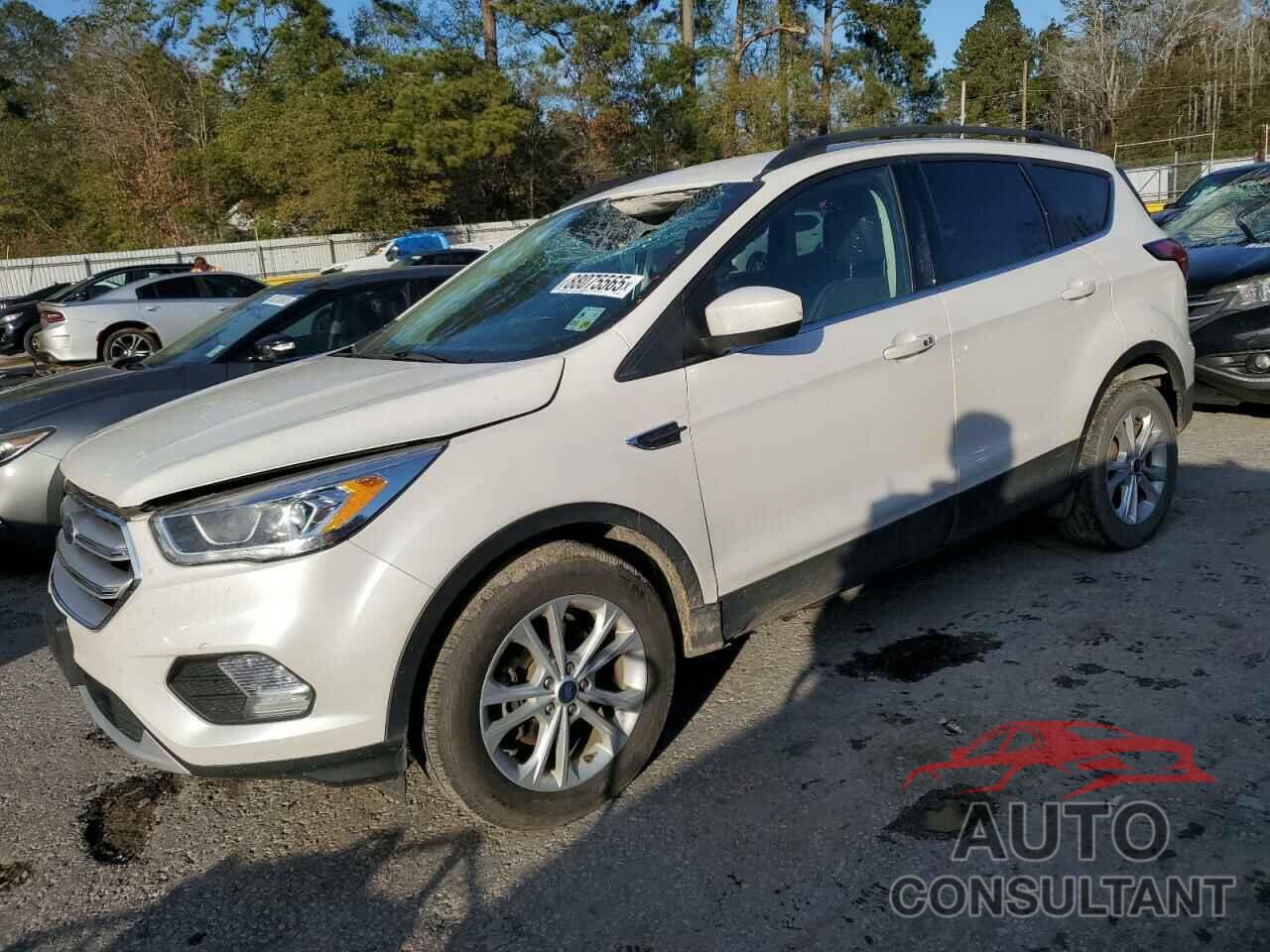 FORD ESCAPE 2019 - 1FMCU0HD1KUB07705