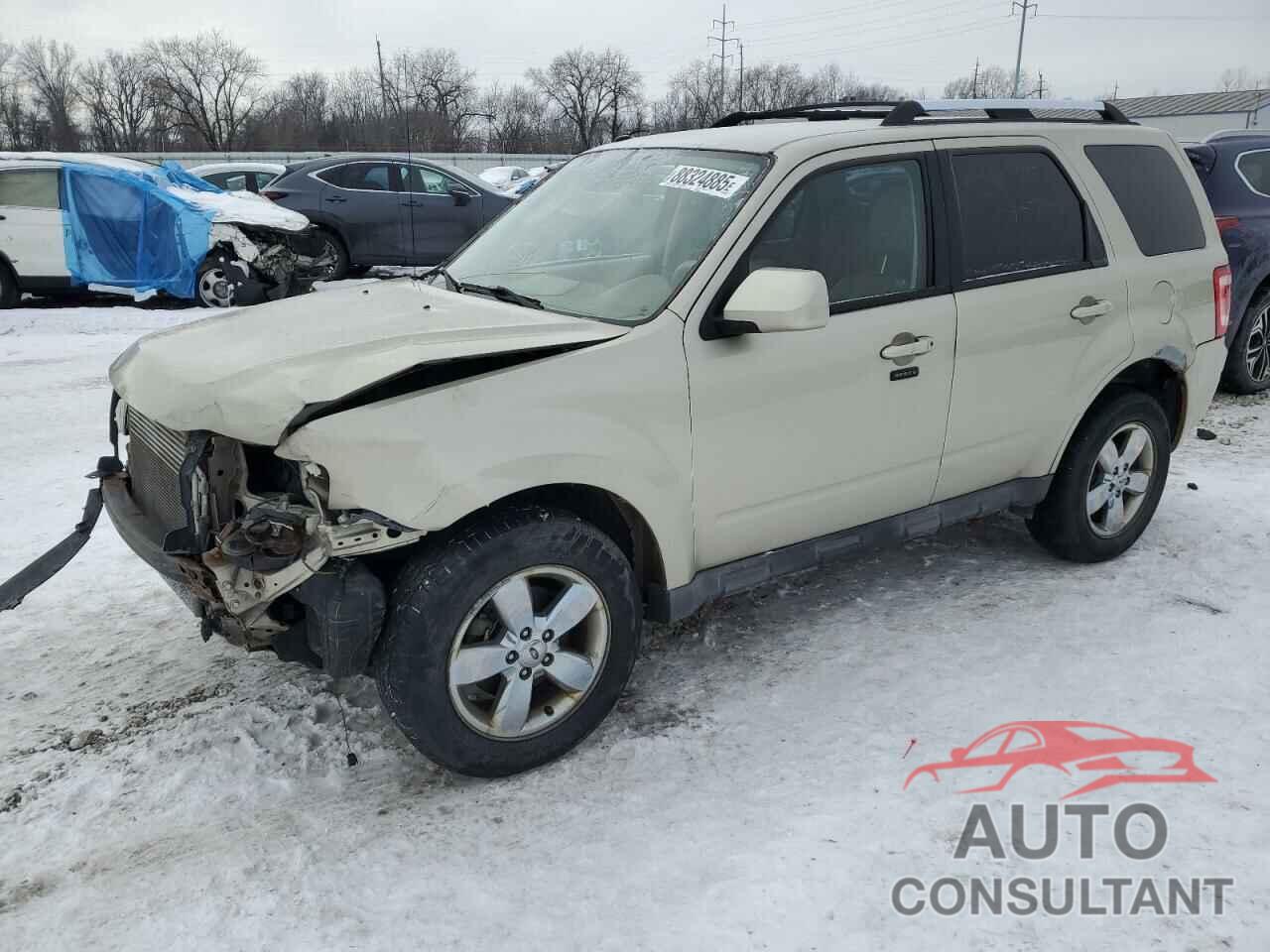 FORD ESCAPE 2010 - 1FMCU0E72AKA09680