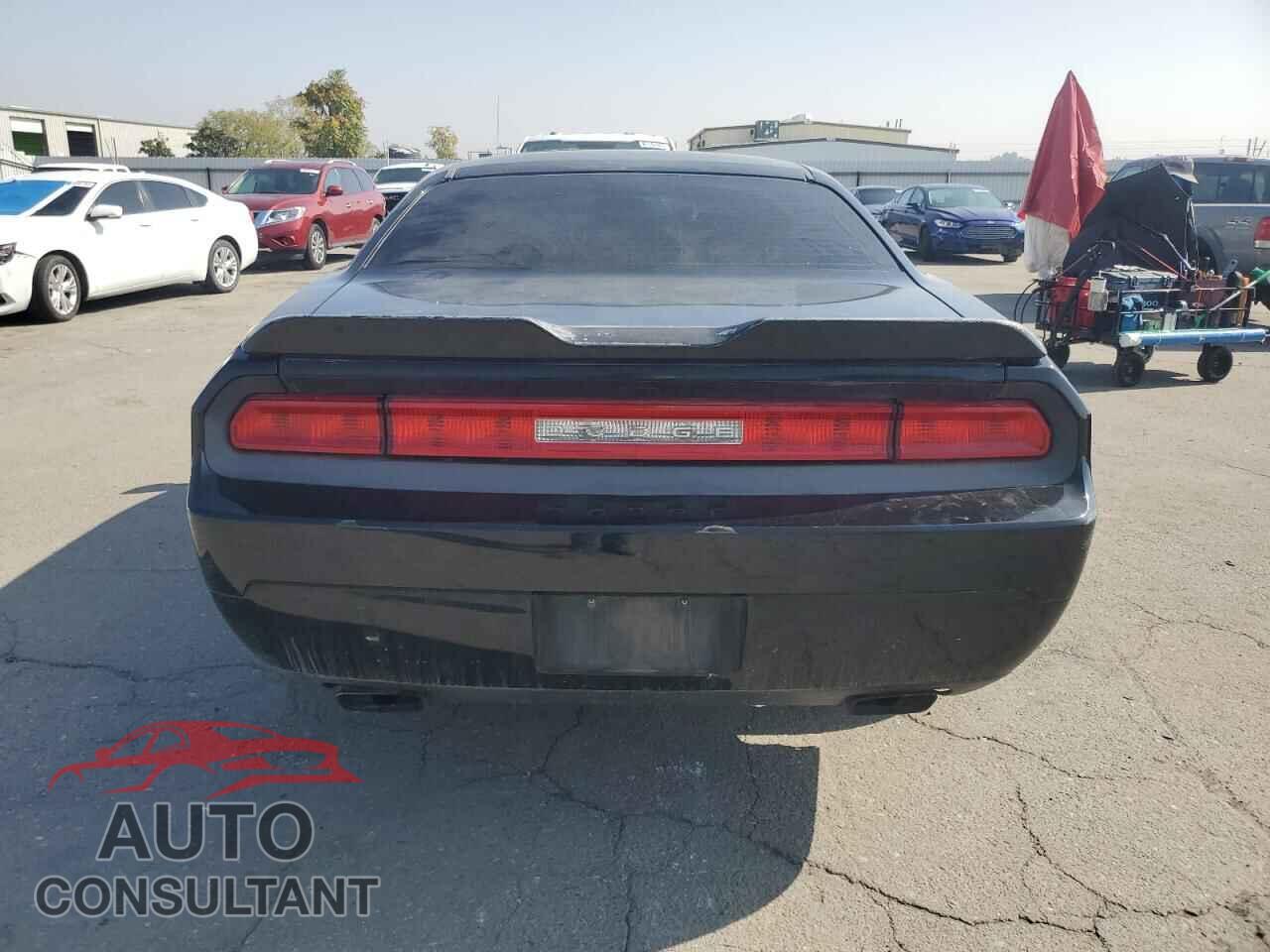 DODGE CHALLENGER 2013 - 2C3CDYAG2DH719204
