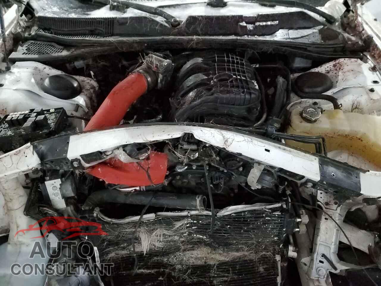 DODGE CHALLENGER 2018 - 2C3CDZAG3JH294688