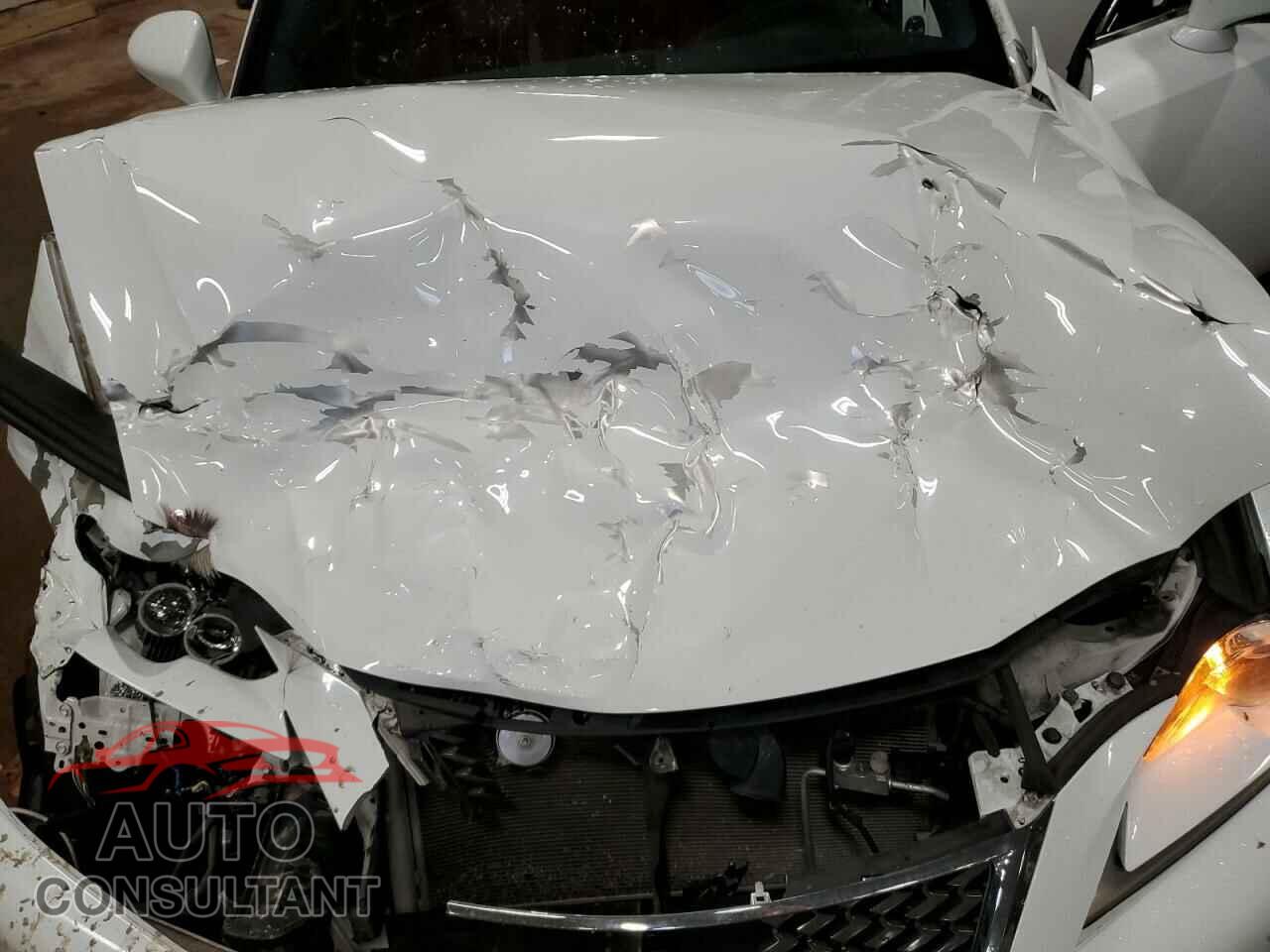 LEXUS IS 2014 - JTHBF1D2XE5042841