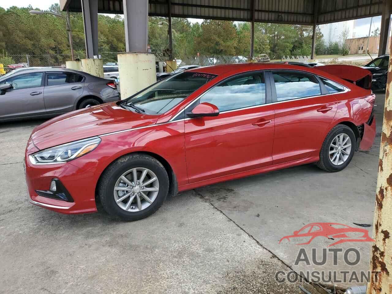 HYUNDAI SONATA 2019 - 5NPE24AF0KH781456