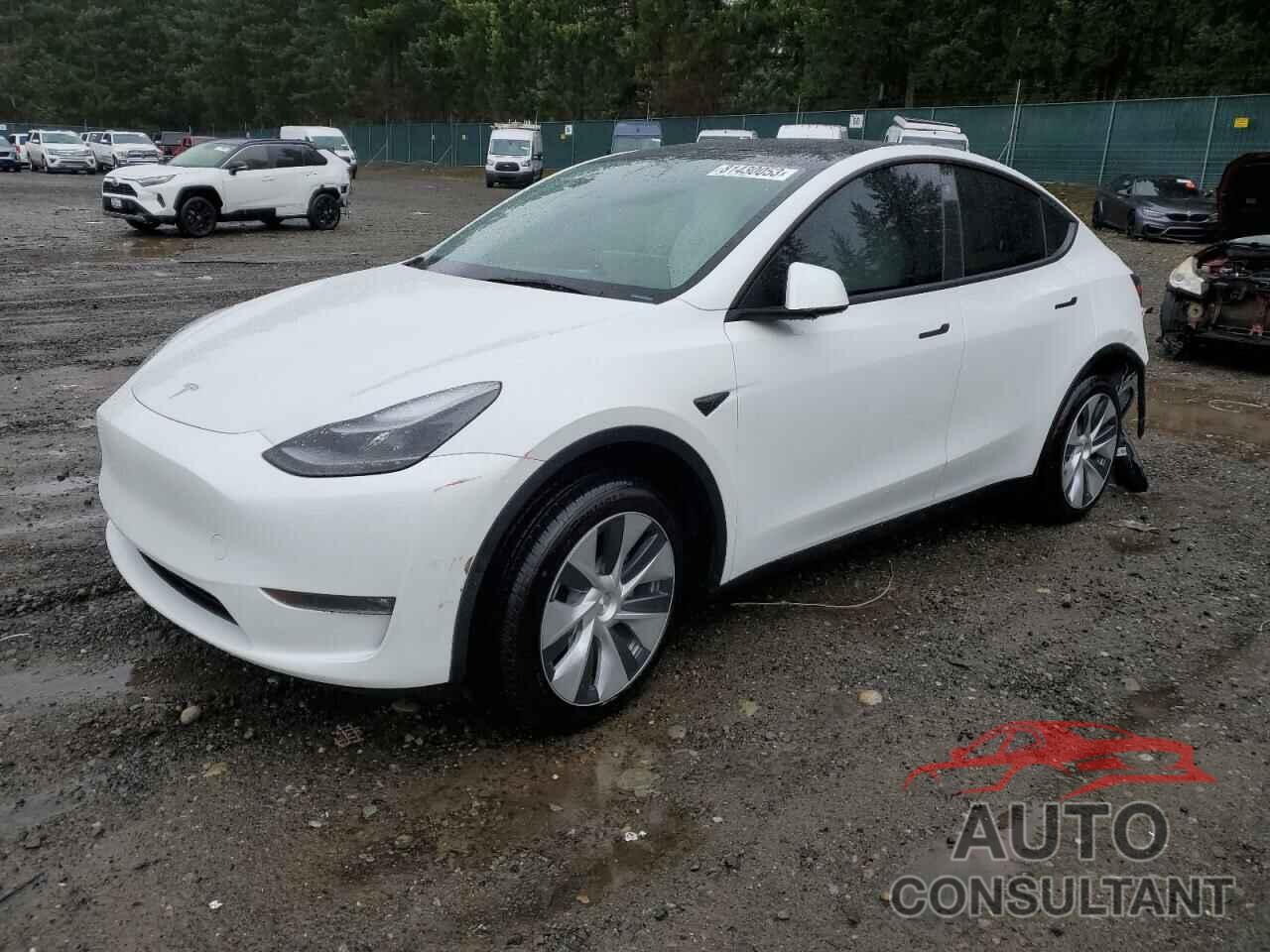 TESLA MODEL Y 2023 - 7SAYGDEE3PF684440