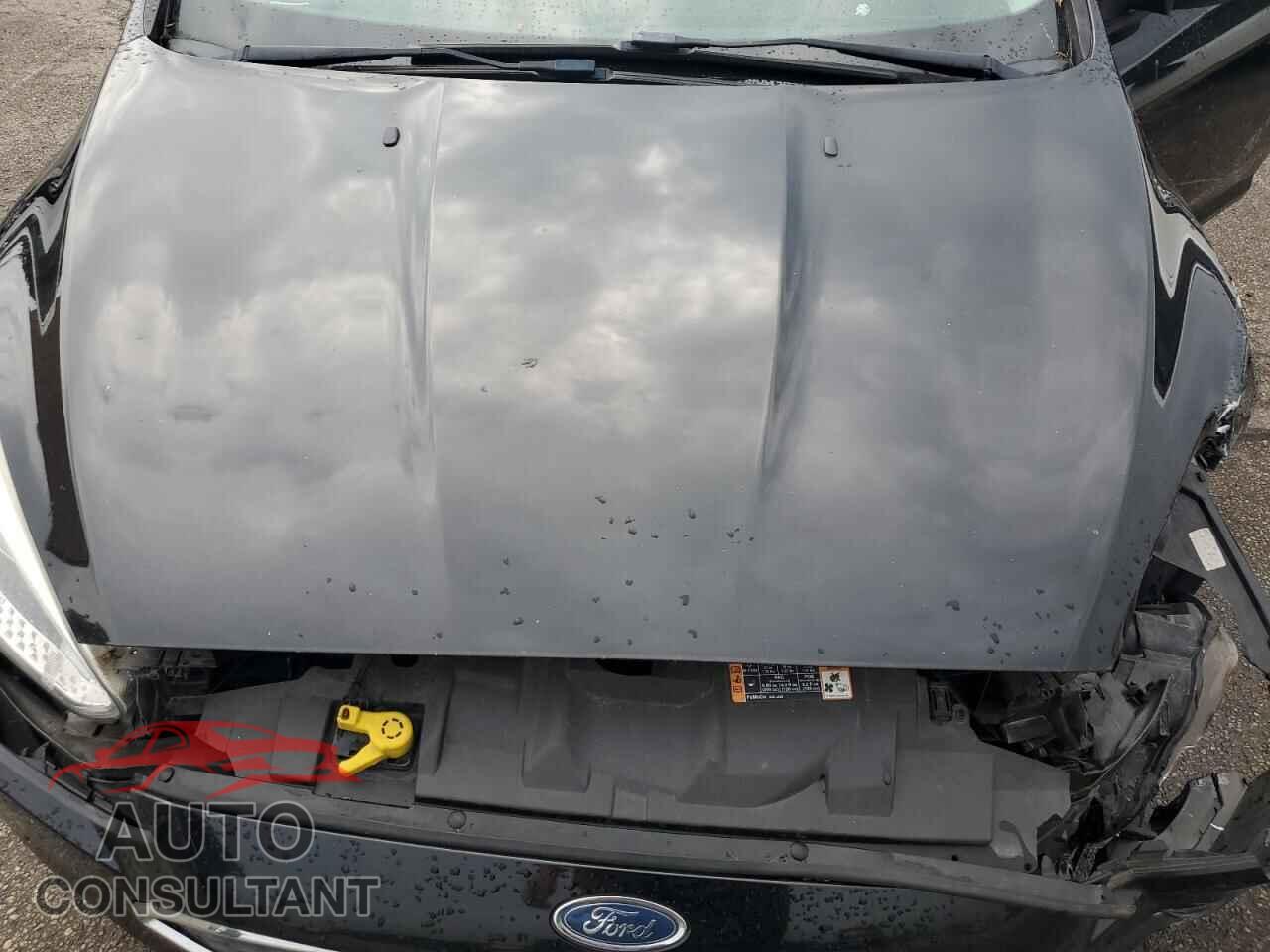 FORD FOCUS 2016 - 1FADP3E21GL343455