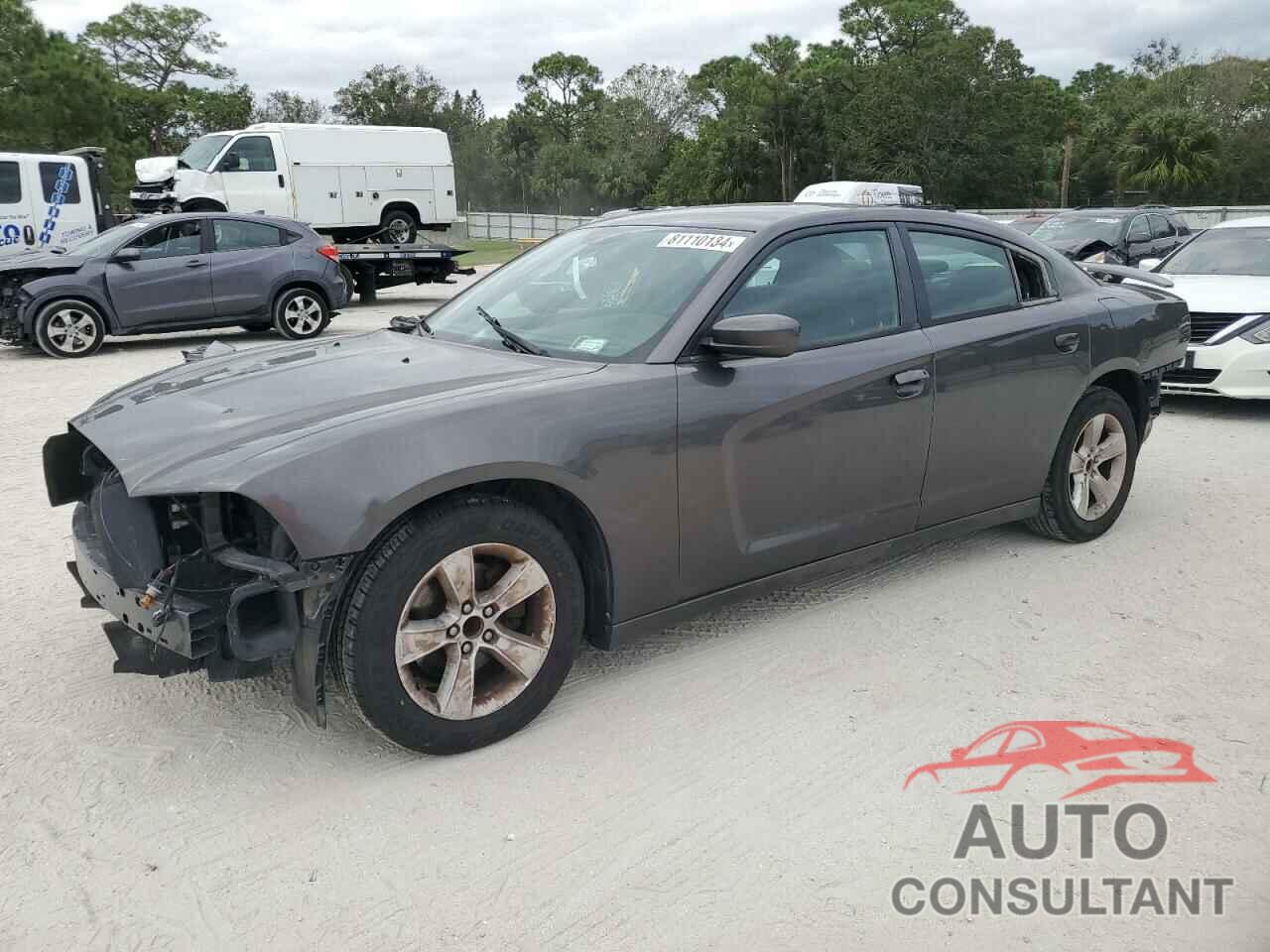 DODGE CHARGER 2014 - 2C3CDXBG1EH339409