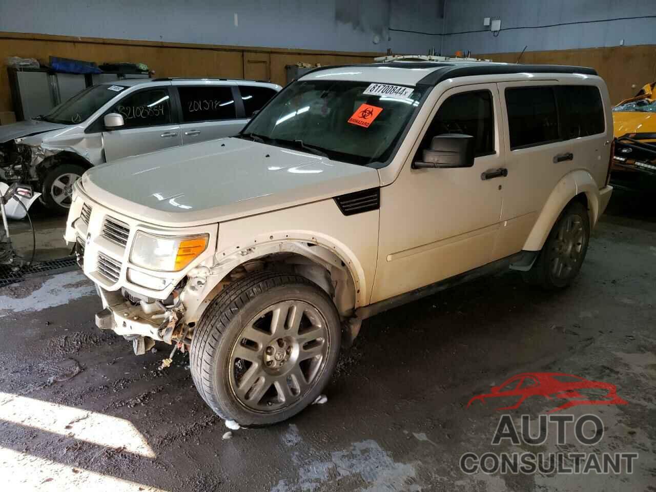 DODGE NITRO 2010 - 1D4PU5GXXAW106718