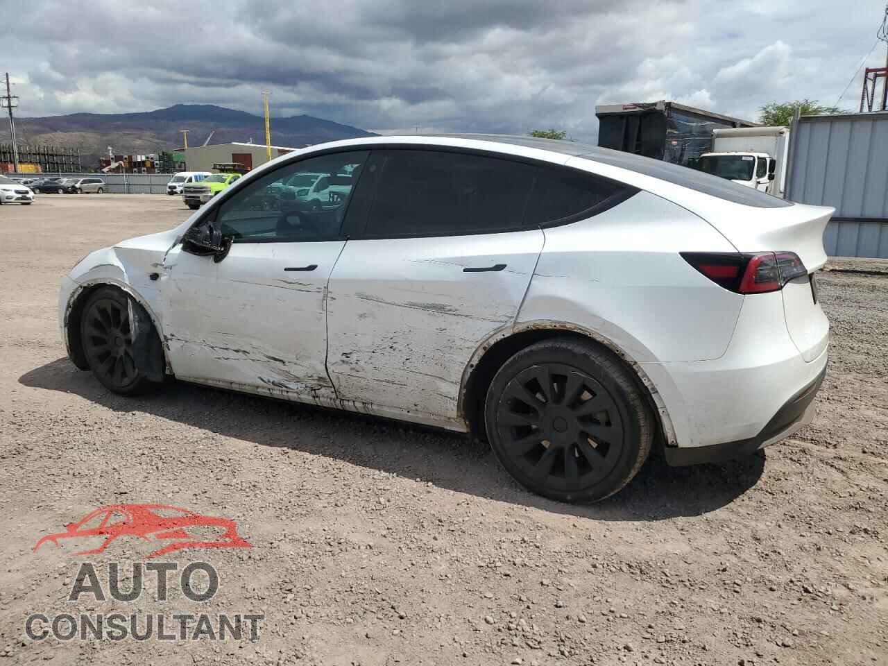 TESLA MODEL Y 2023 - 7SAYGDEE9PF644007