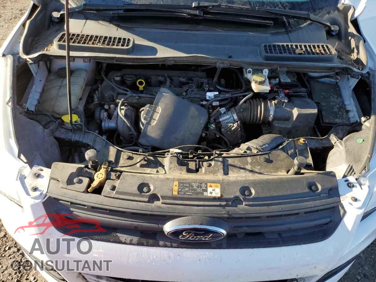 FORD ESCAPE 2014 - 1FMCU0F77EUB76920