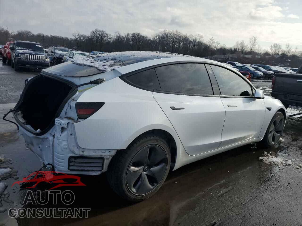 TESLA MODEL 3 2019 - 5YJ3E1EA8KF466897