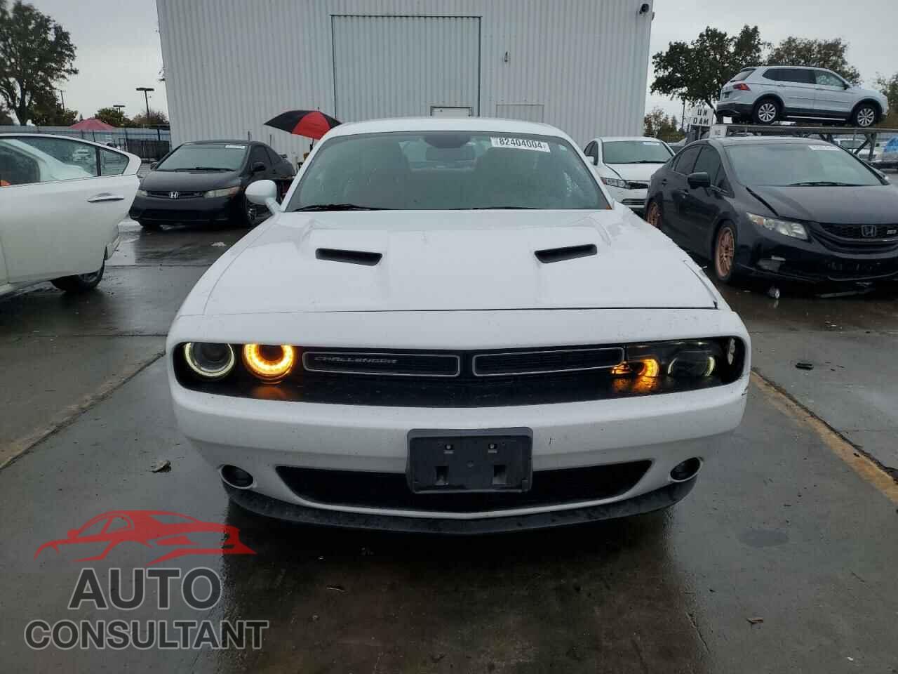 DODGE CHALLENGER 2019 - 2C3CDZAG0KH719463