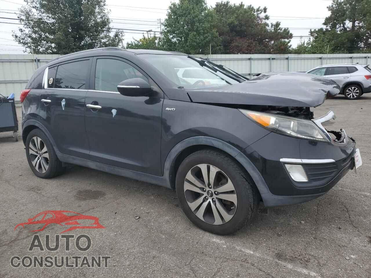 KIA SPORTAGE 2011 - KNDPCCA29B7079072