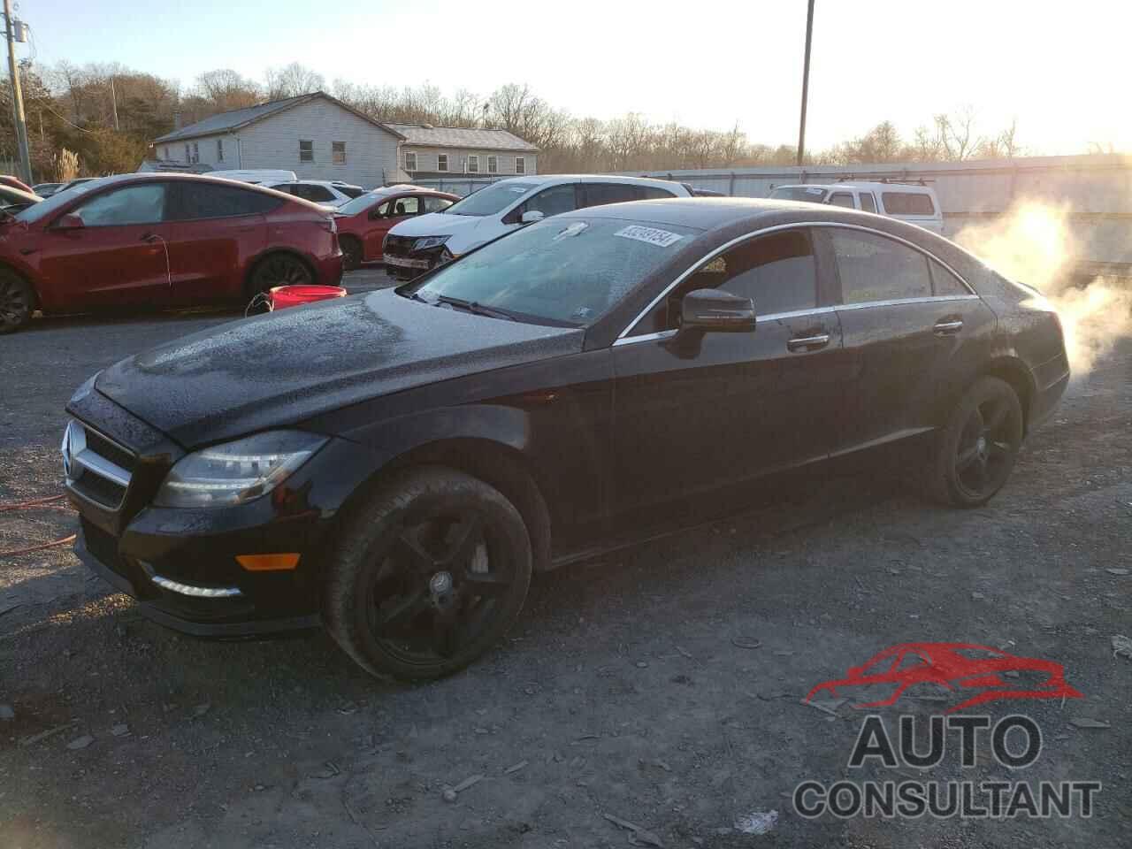 MERCEDES-BENZ CLS-CLASS 2013 - WDDLJ9BB9DA075167