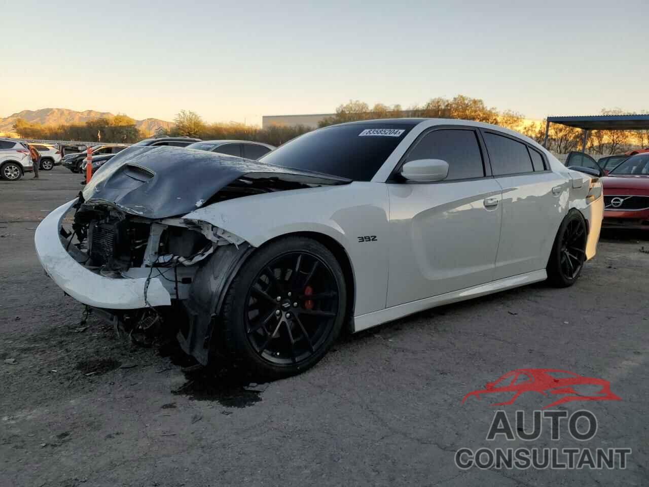 DODGE CHARGER 2020 - 2C3CDXGJ7LH180333
