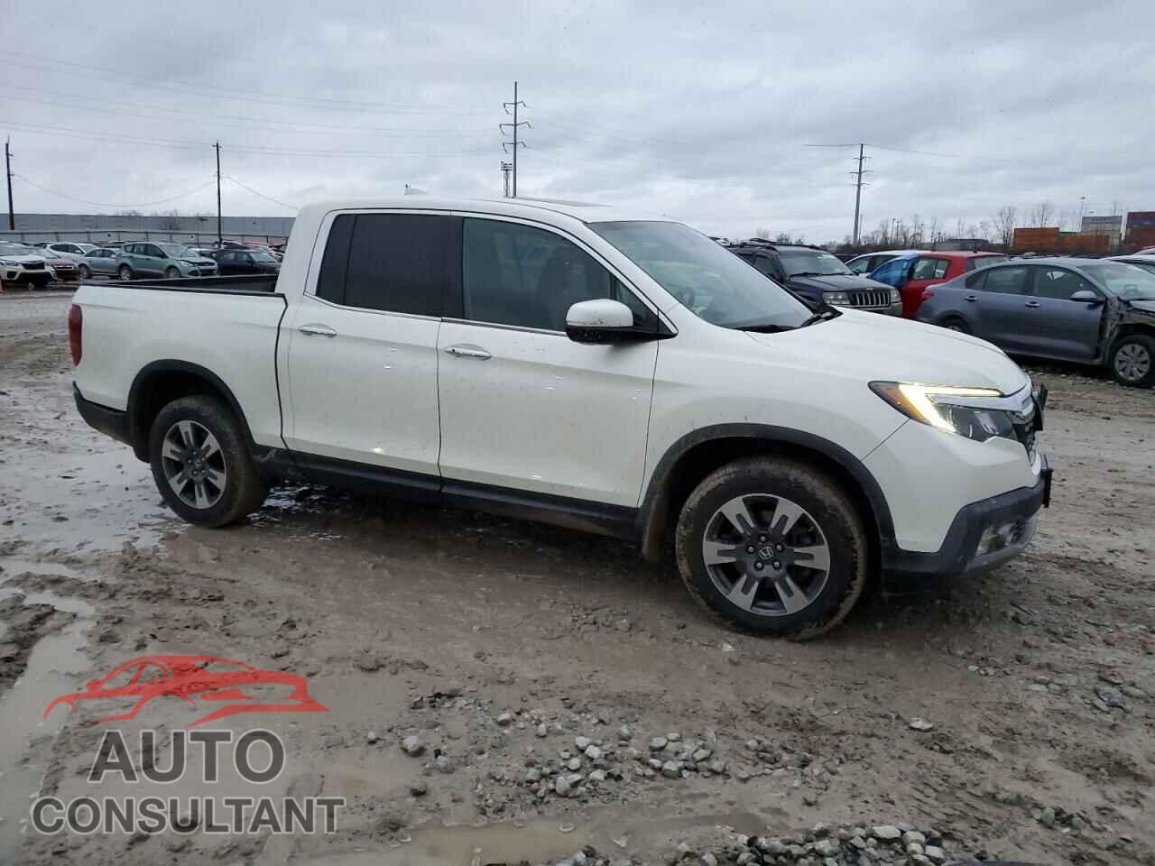 HONDA RIDGELINE 2019 - 5FPYK3F76KB015553