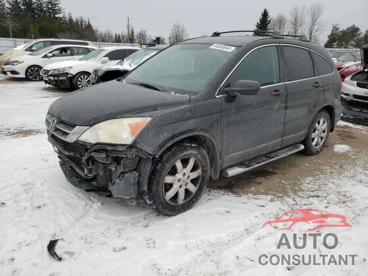 HONDA CRV 2010 - 5J6RE4H3XAL813984