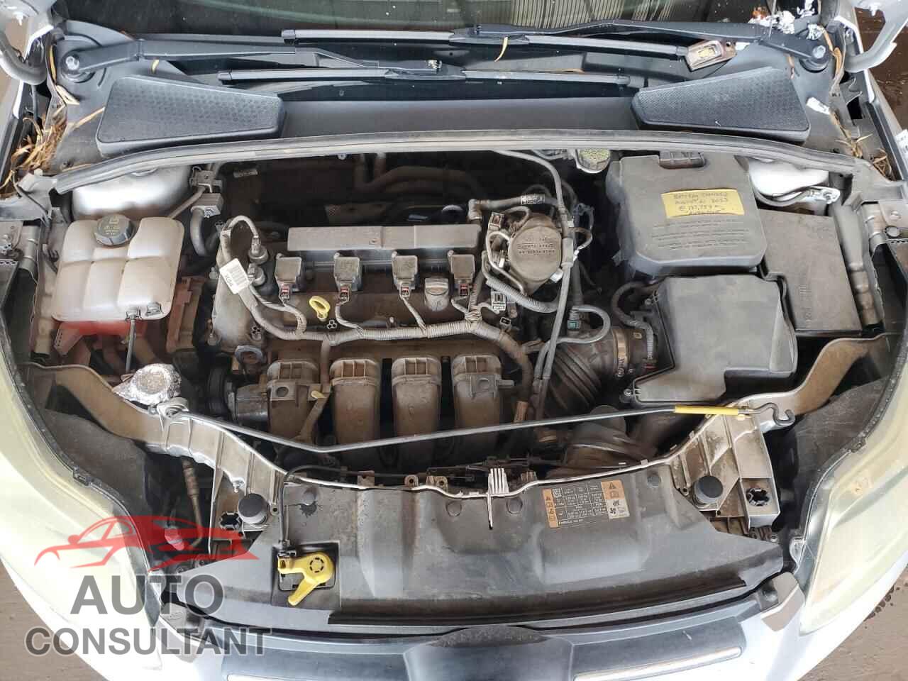 FORD FOCUS 2014 - 1FADP3F26EL407680
