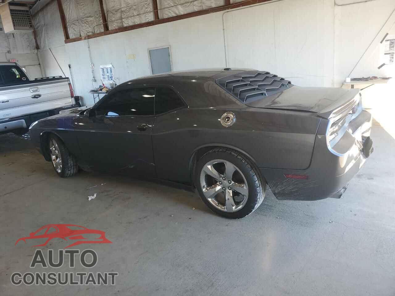 DODGE CHALLENGER 2014 - 2C3CDYBT9EH302210