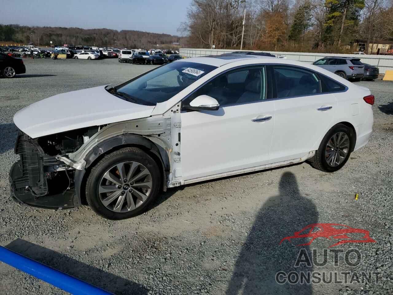 HYUNDAI SONATA 2016 - 5NPE34AF5GH361597