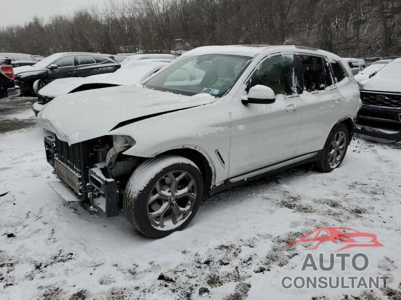 BMW X3 2022 - 5UX43DP00N9M49332