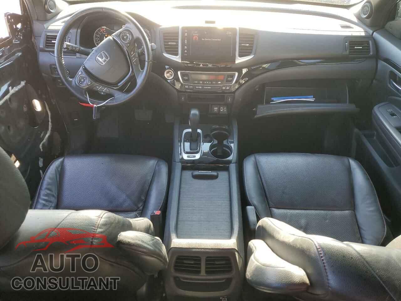 HONDA RIDGELINE 2019 - 5FPYK3F82KB035968