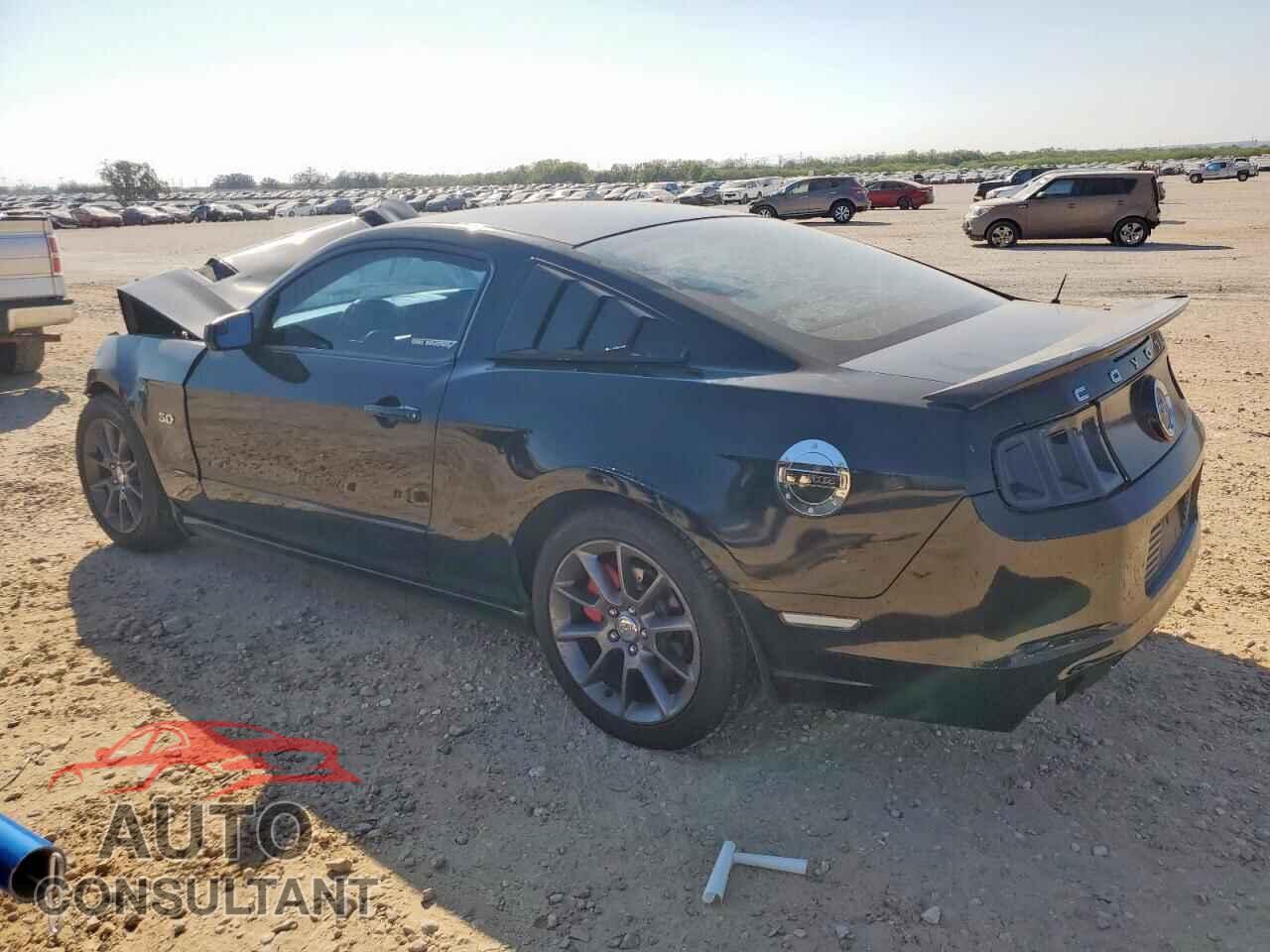 FORD MUSTANG 2013 - 1ZVBP8CF2D5266743