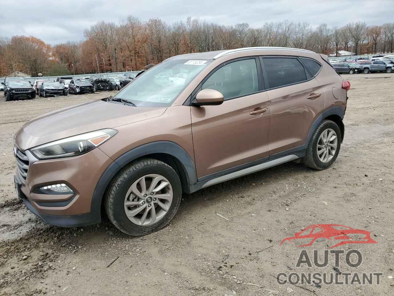 HYUNDAI TUCSON 2017 - KM8J33A46HU252236