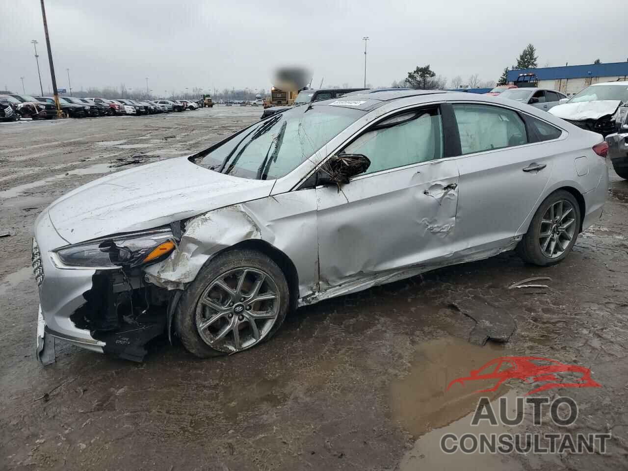 HYUNDAI SONATA 2019 - 5NPE34ABXKH795052