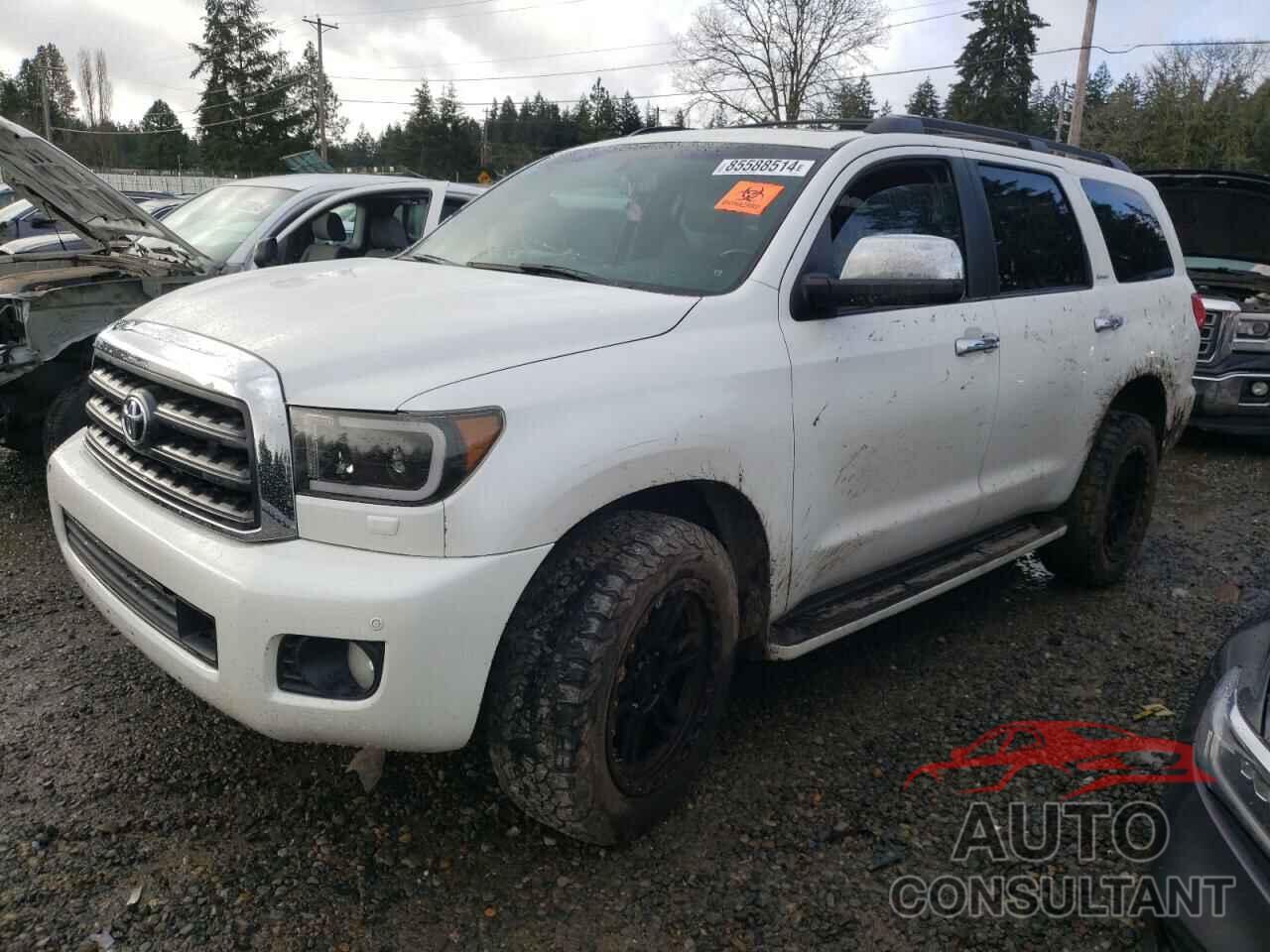 TOYOTA SEQUOIA 2013 - 5TDDW5G15DS091006