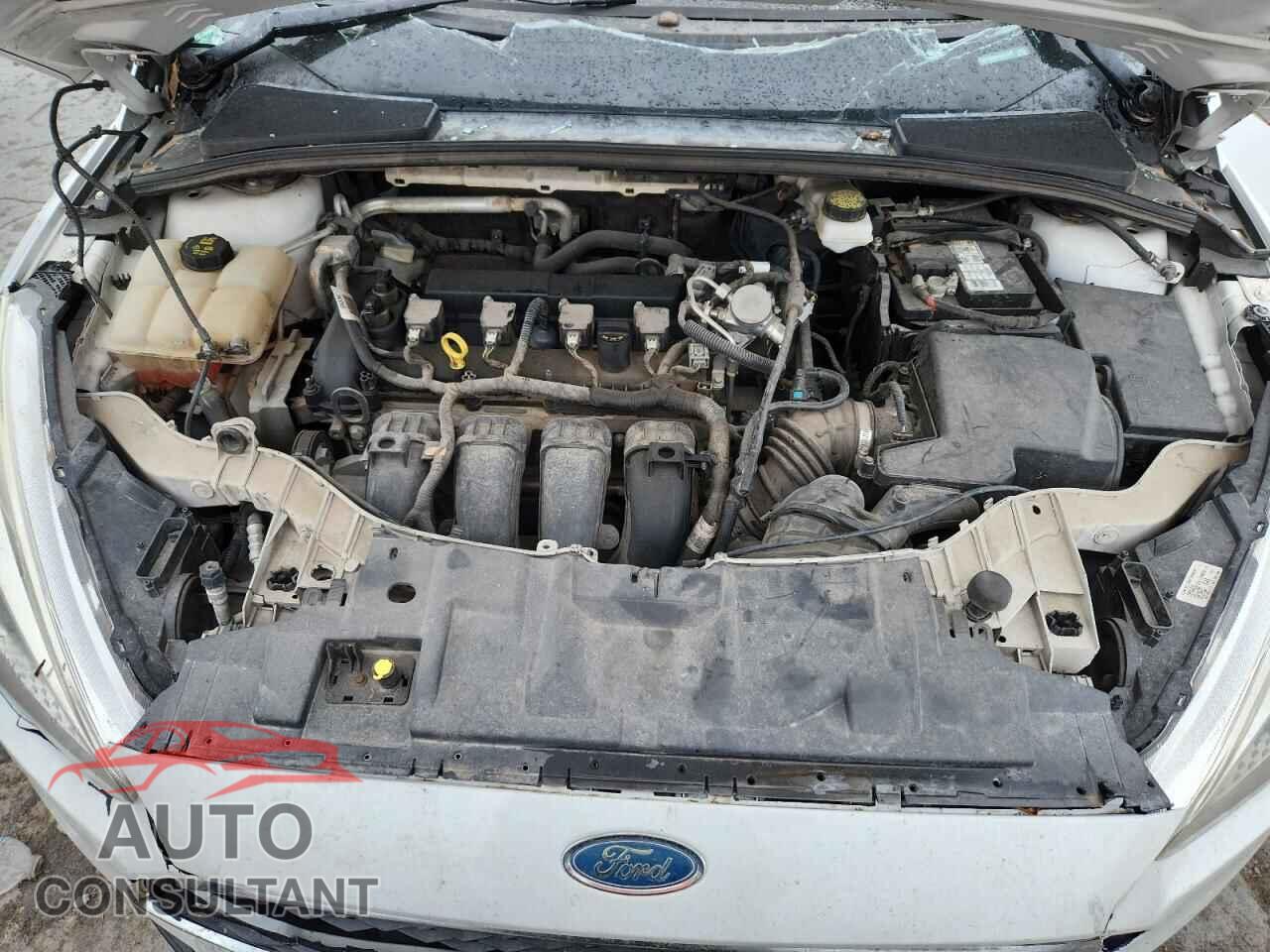 FORD FOCUS 2018 - 1FADP3E29JL201541