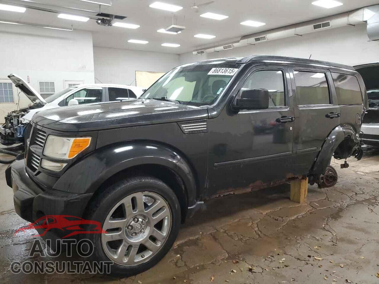 DODGE NITRO 2010 - 1D4PU5GX4AW111137