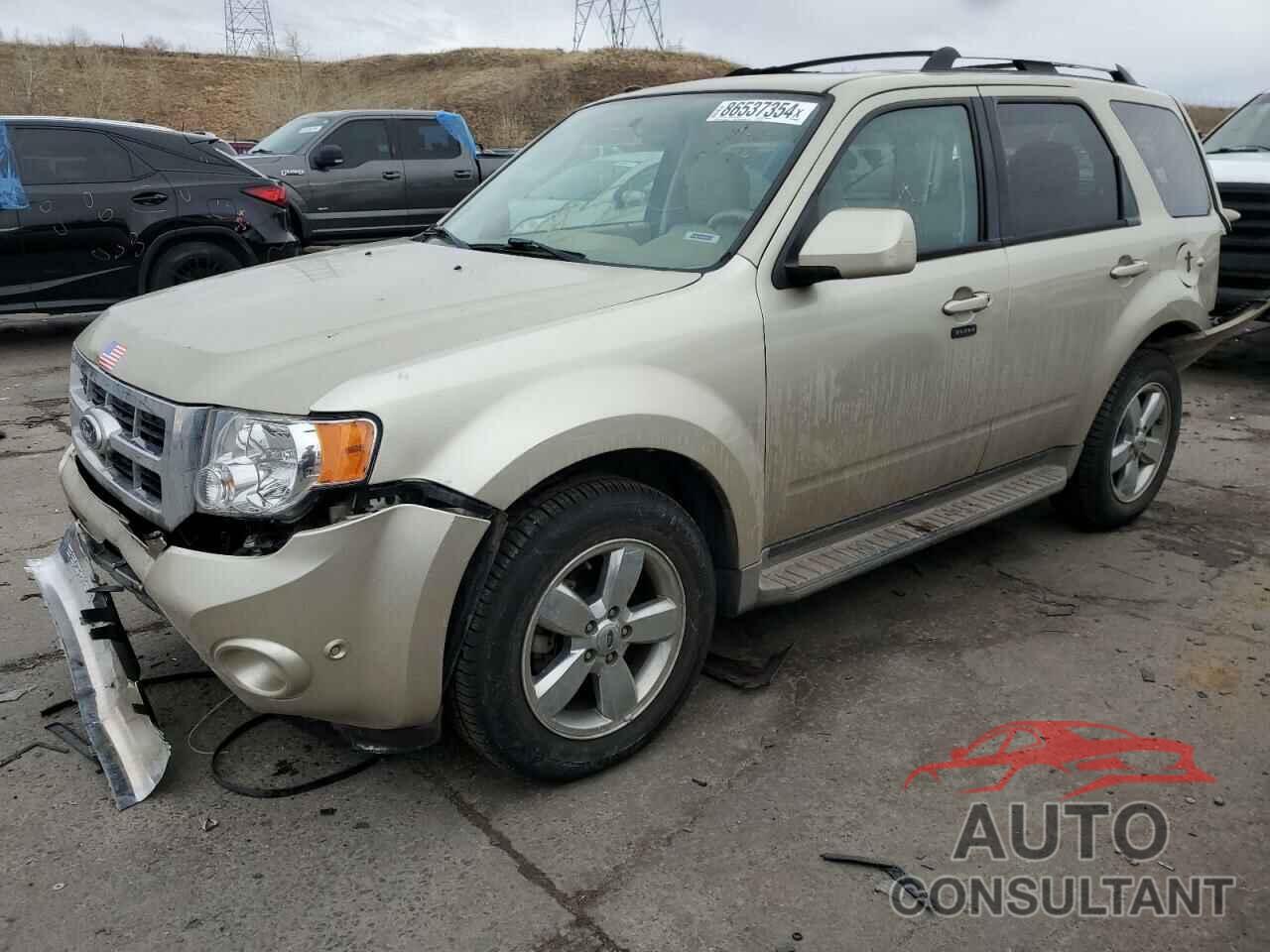 FORD ESCAPE 2010 - 1FMCU9EG7AKD11261