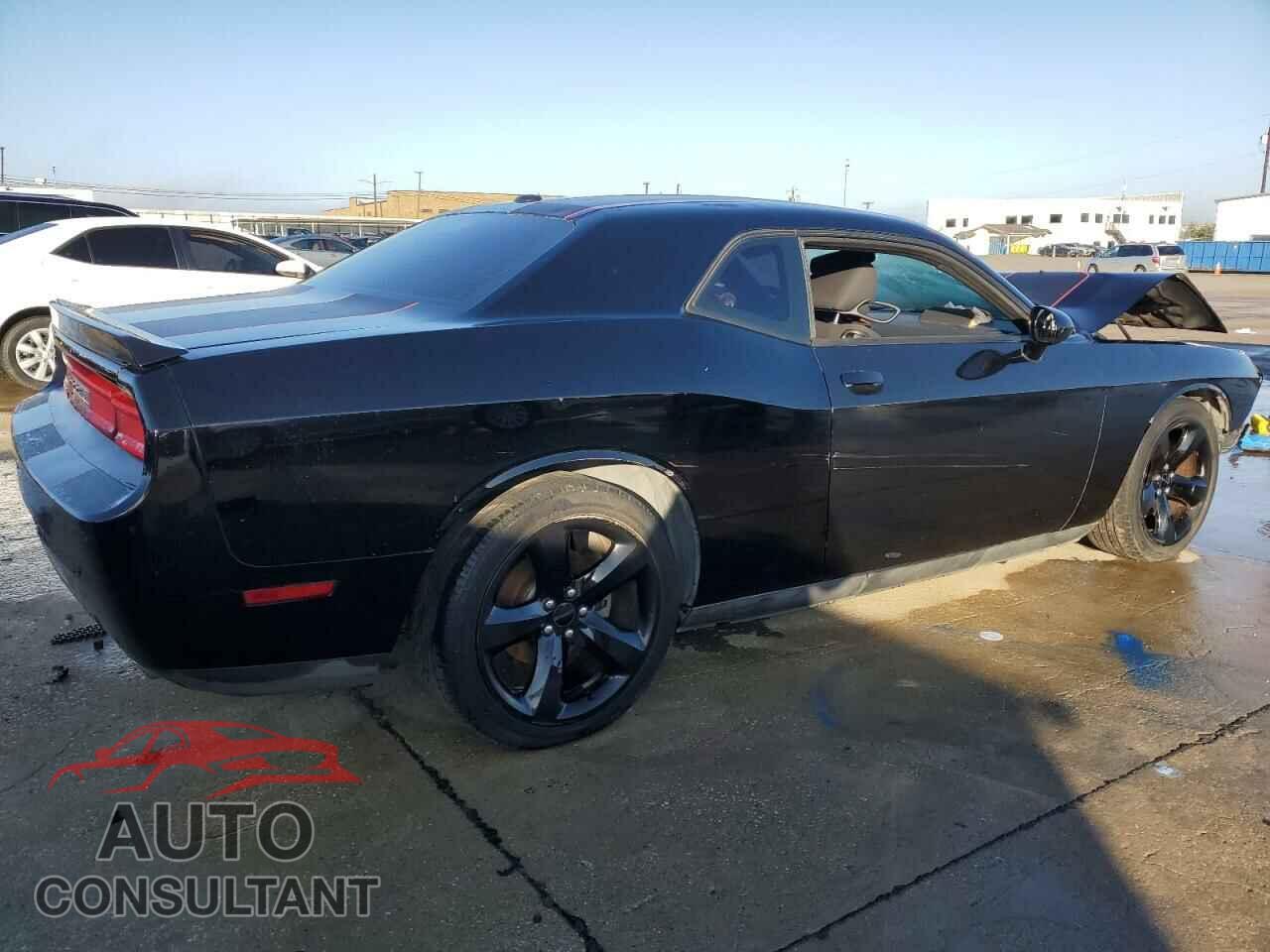DODGE CHALLENGER 2013 - 2C3CDYBTXDH616253