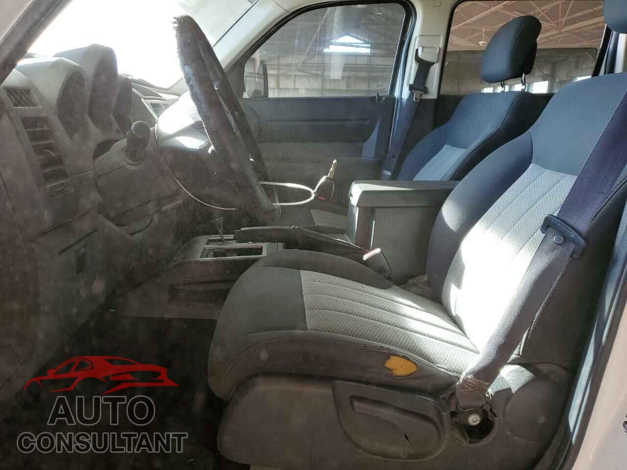 DODGE NITRO 2010 - 1D4PU4GK1AW157409