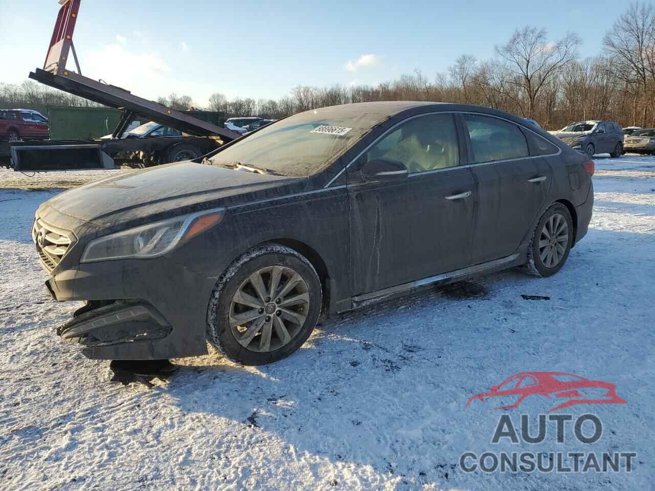 HYUNDAI SONATA 2017 - 5NPE34AF0HH462564