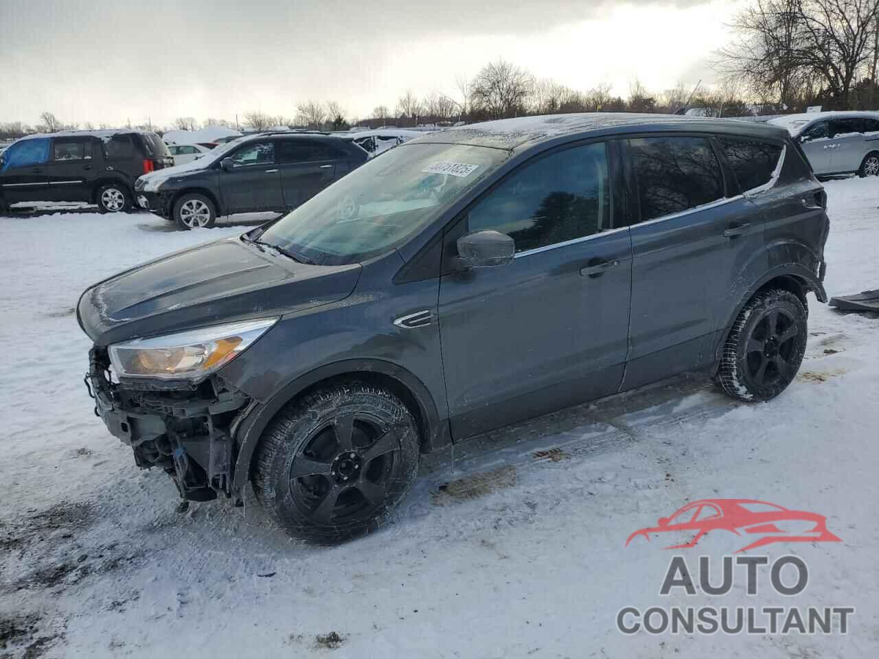 FORD ESCAPE 2019 - 1FMCU0GD4KUB36875