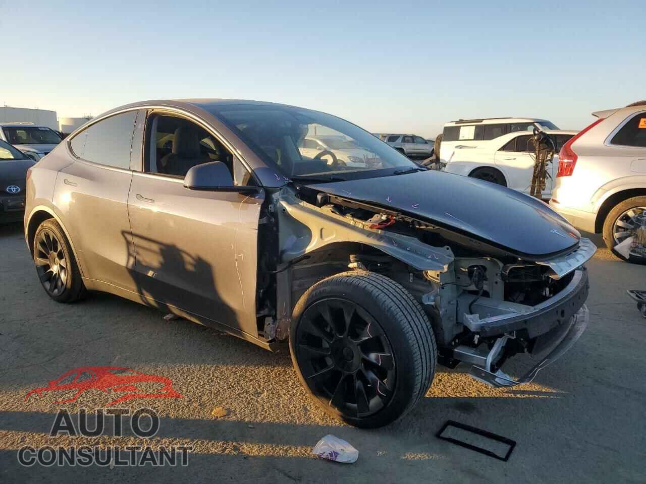 TESLA MODEL Y 2023 - 7SAYGAEE9PF978147