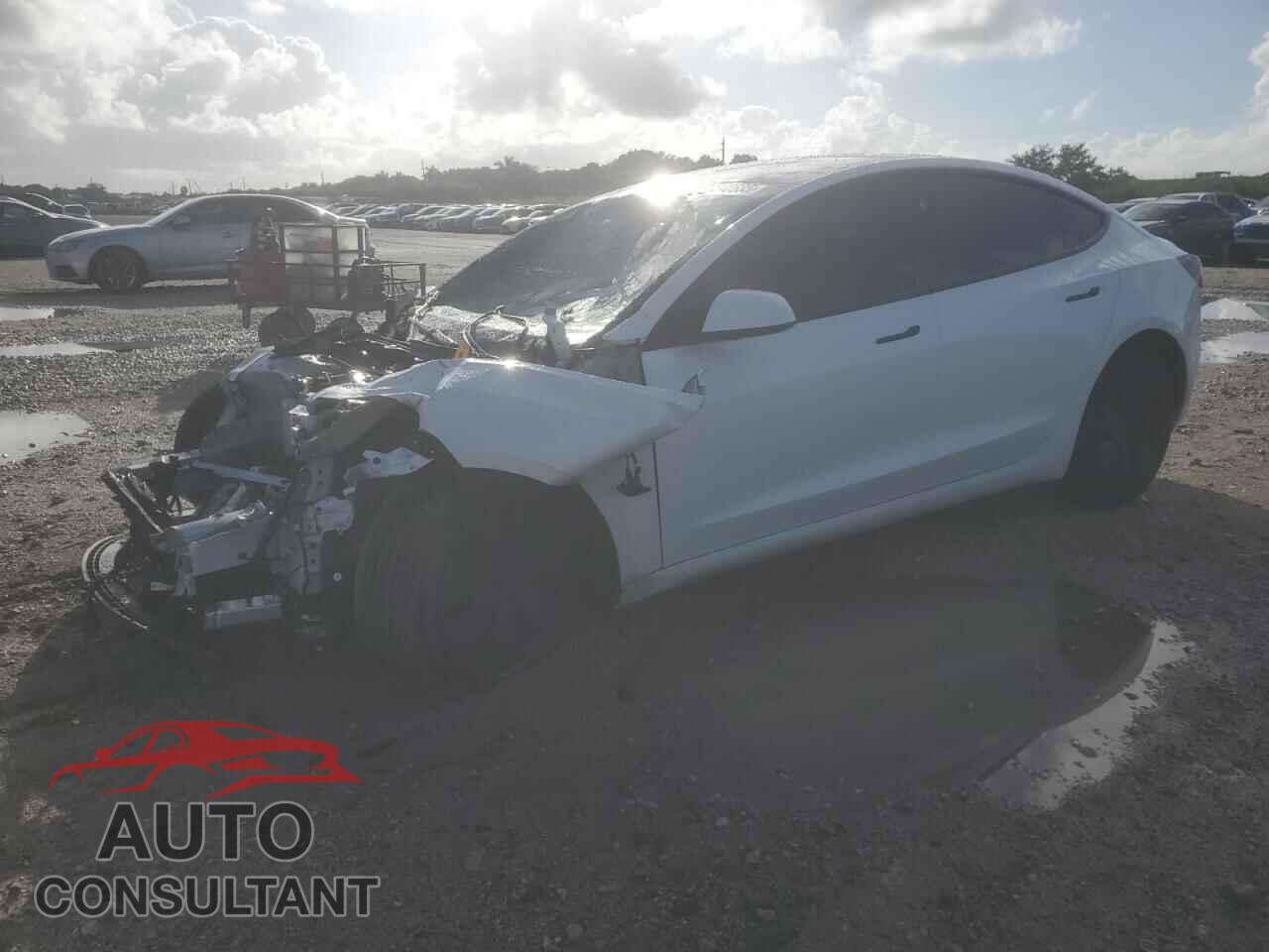 TESLA MODEL 3 2024 - 5YJ3E1EA7RF858425