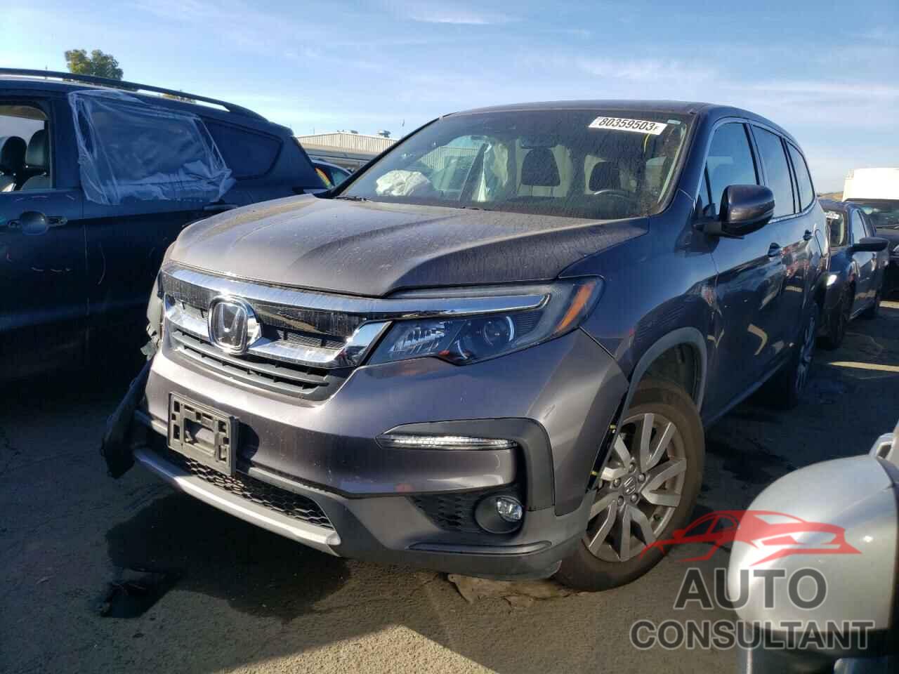 HONDA PILOT 2019 - 5FNYF6H55KB043466