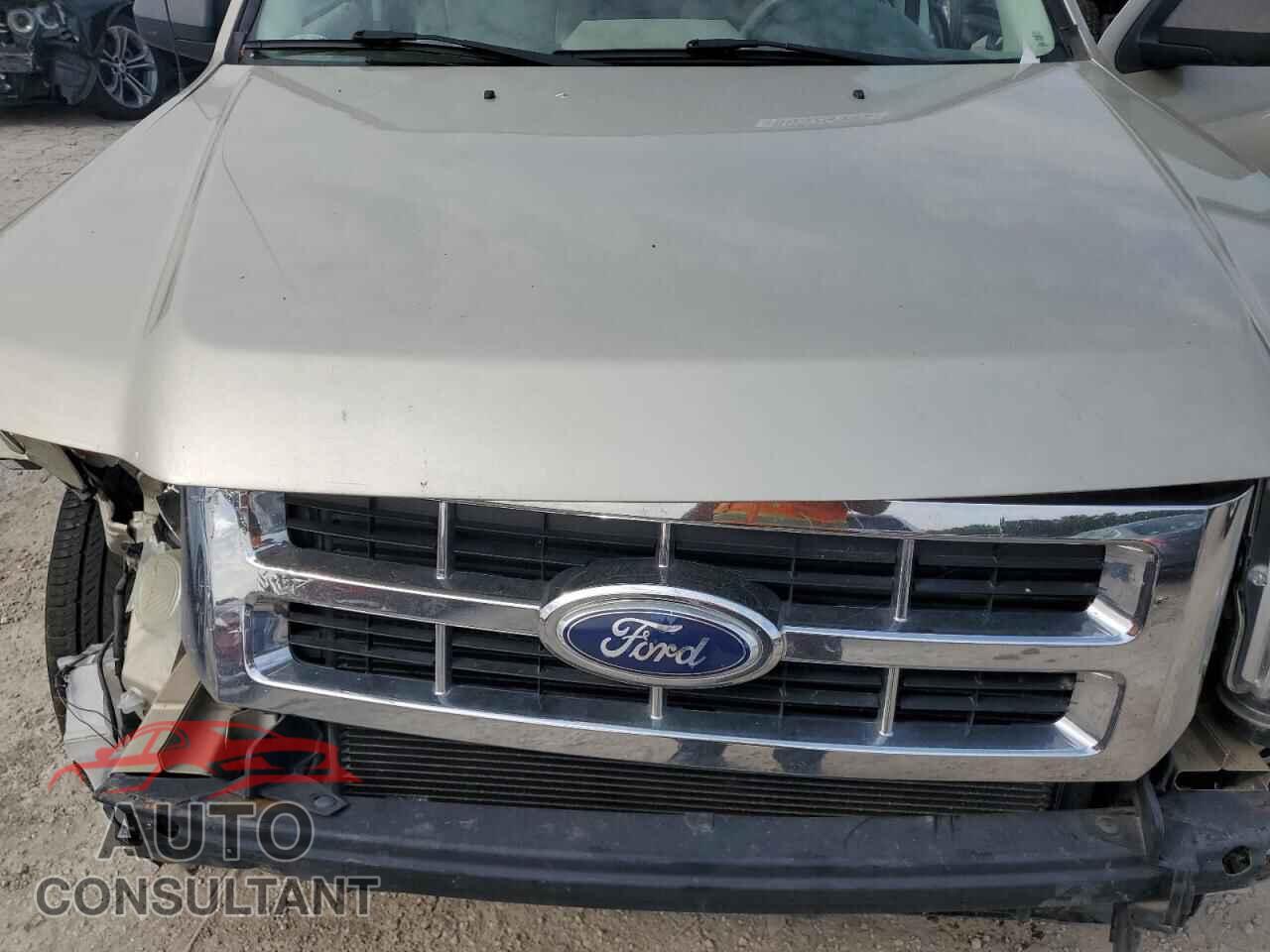 FORD ESCAPE 2010 - 1FMCU0D79AKC63565